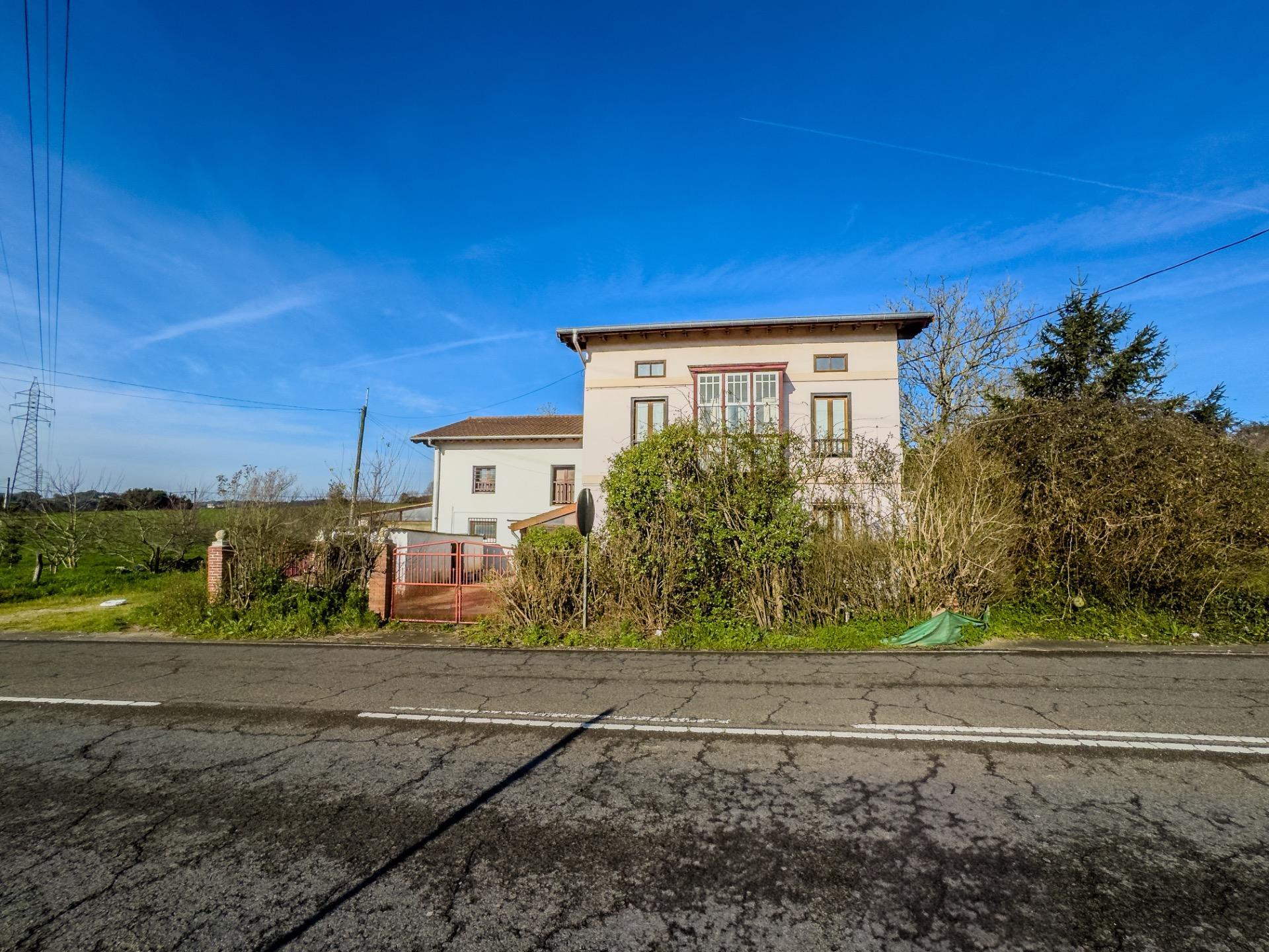 Fincas y solares-Venta-PiÃ©lagos-1652937-Foto-12