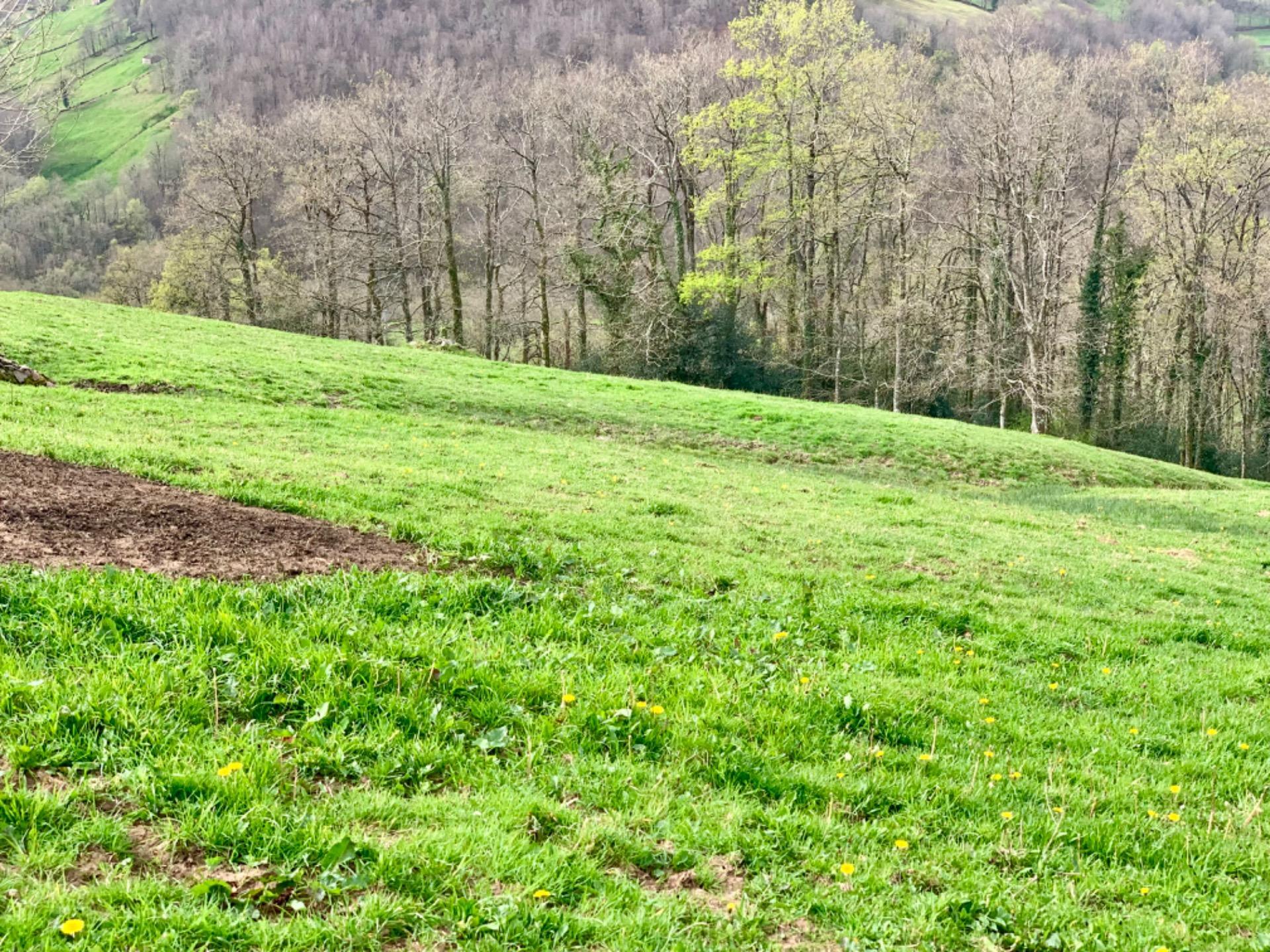 Pisos-Venta-San Pedro del Romeral-1070693-Foto-17