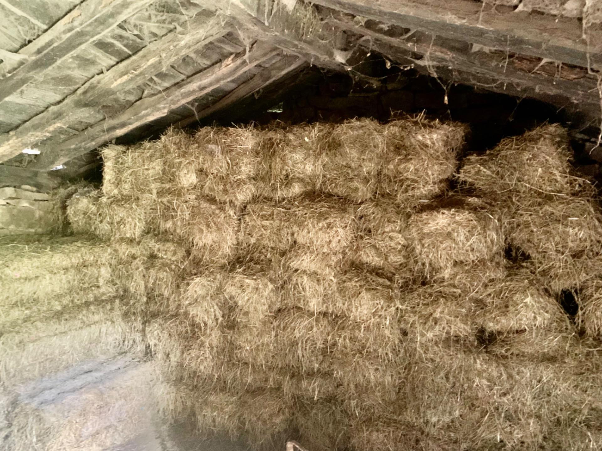 Pisos-Venta-San Pedro del Romeral-1070693-Foto-23