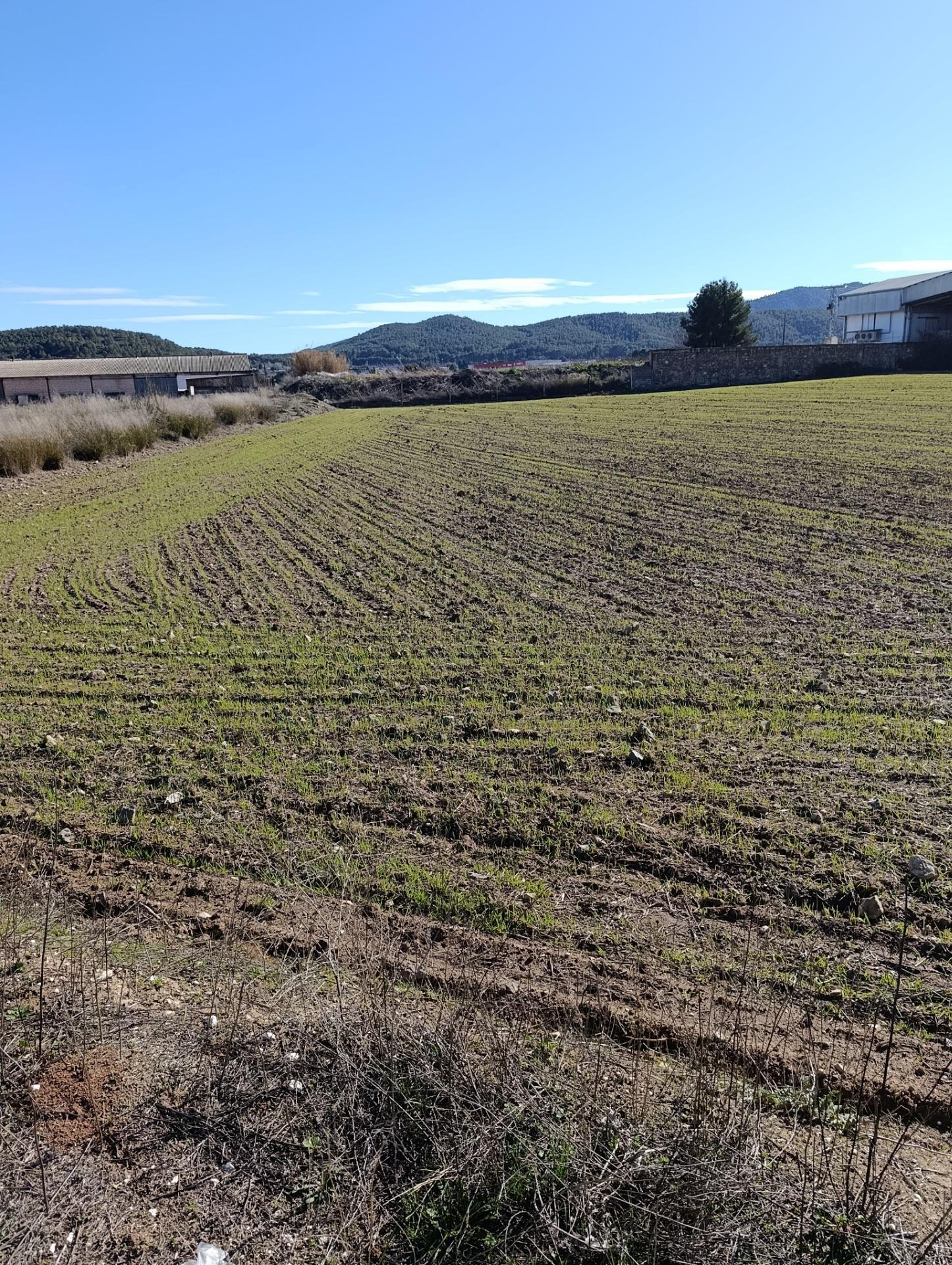 Suelo en venta, Cehegín