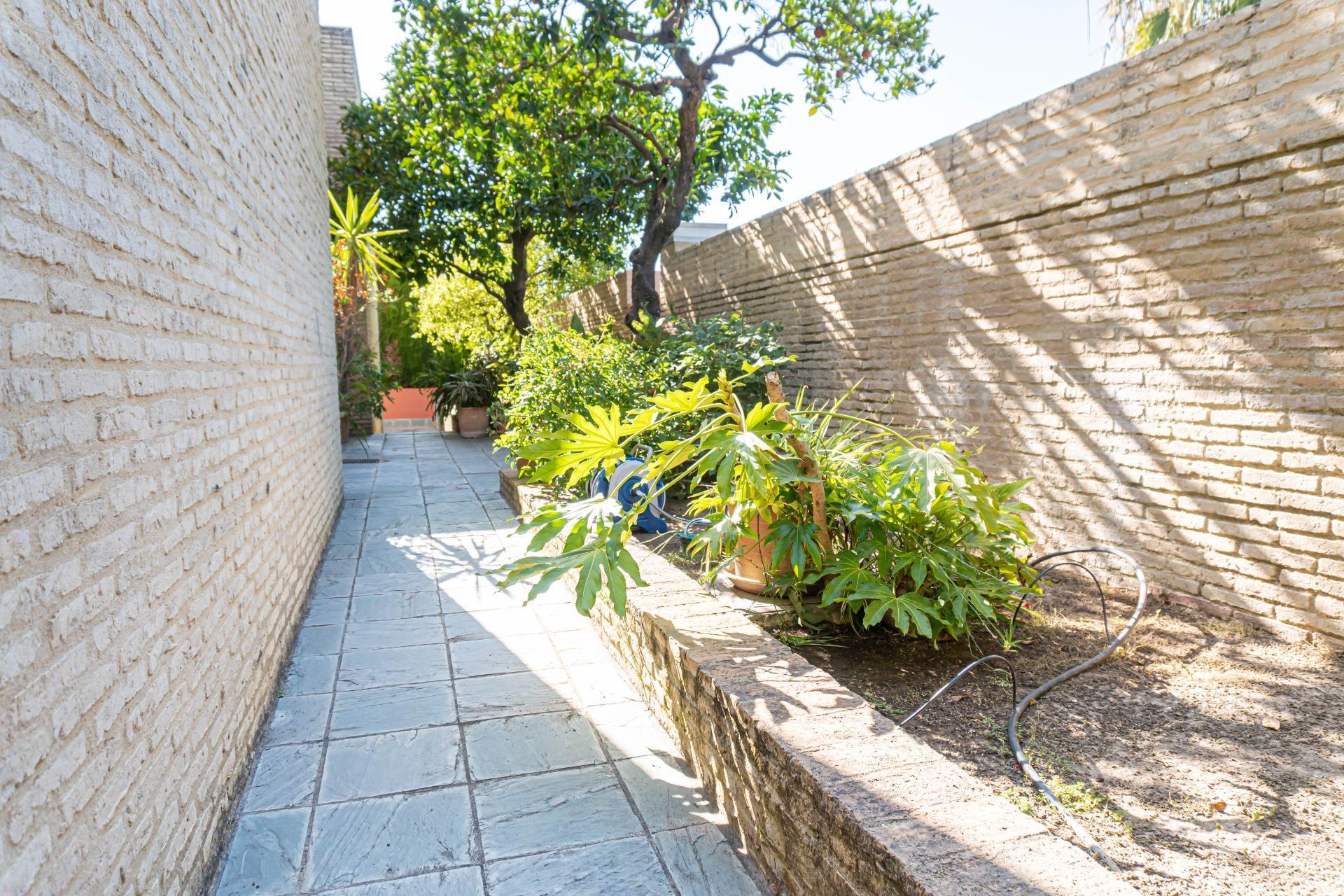 Casas o chalets-Venta-Valencina de la ConcepciÃ³n-1839860-Foto-61