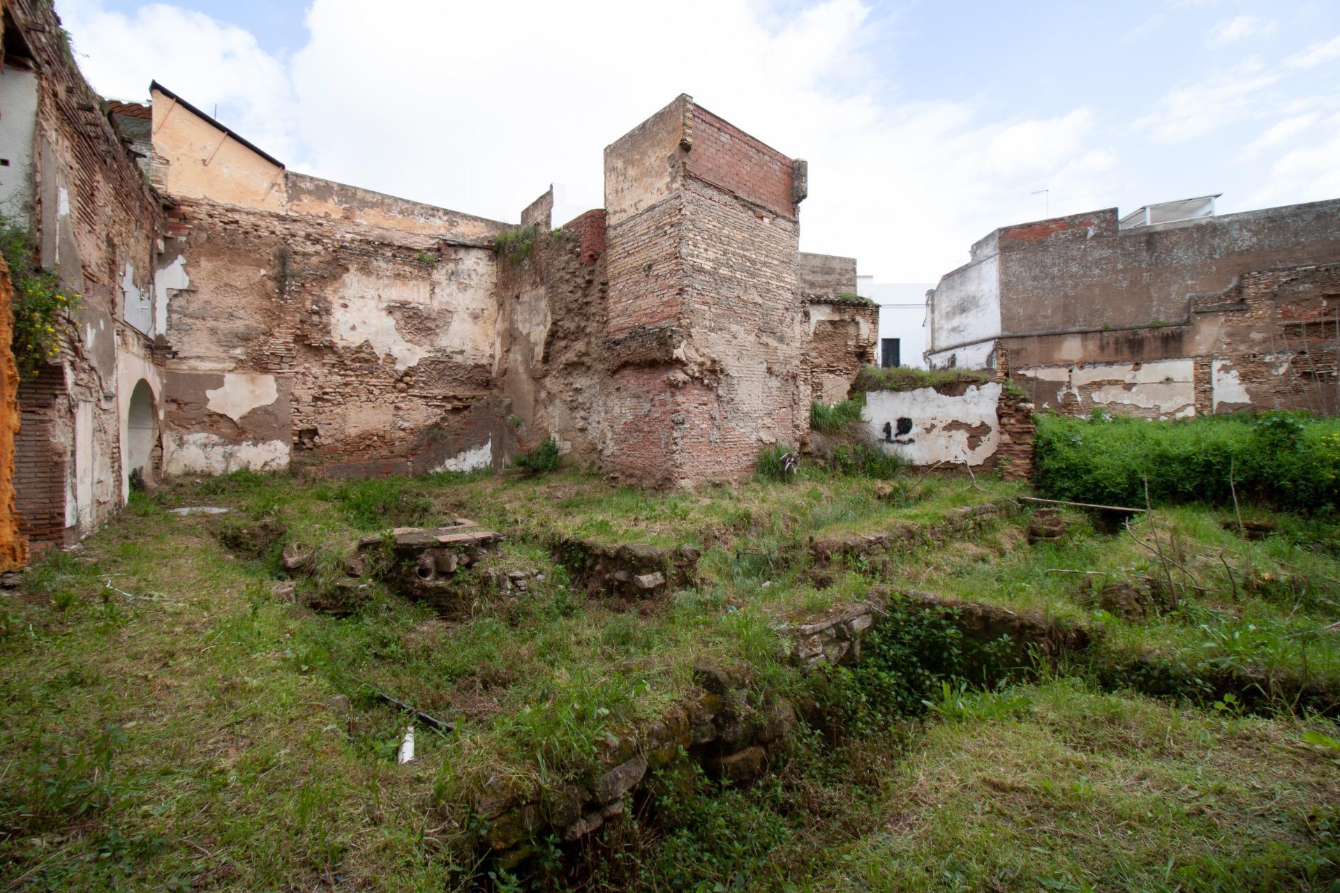 Fincas y solares-Venta-CÃ³rdoba-1683570-Foto-15