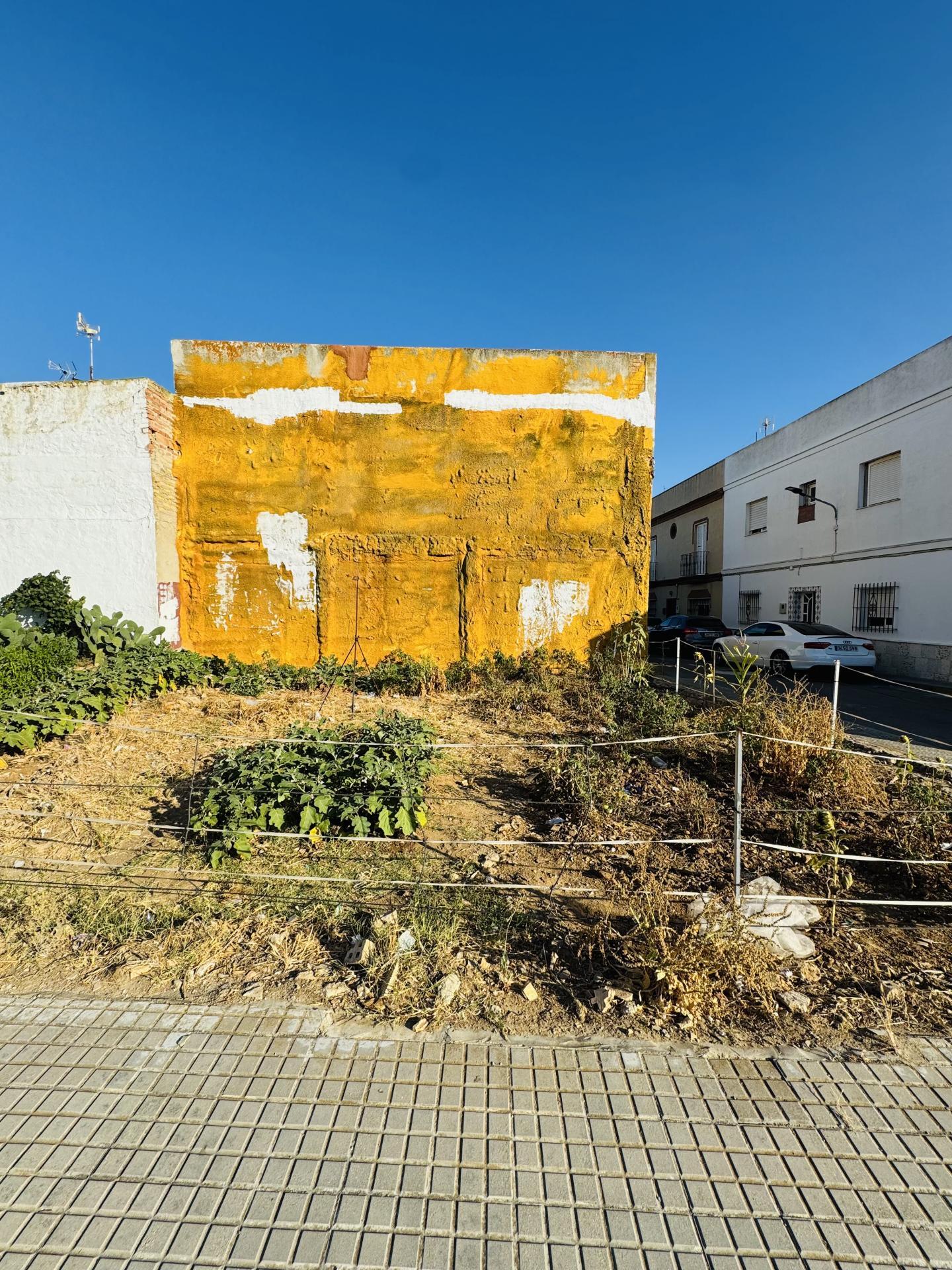 Fincas y solares-Venta-Chiclana de la Frontera-2044380-Foto-2