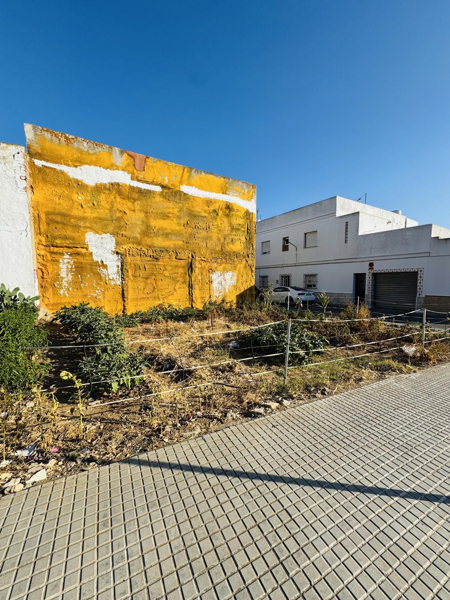 Fincas y solares-Venta-Chiclana de la Frontera-2044380-Foto-4