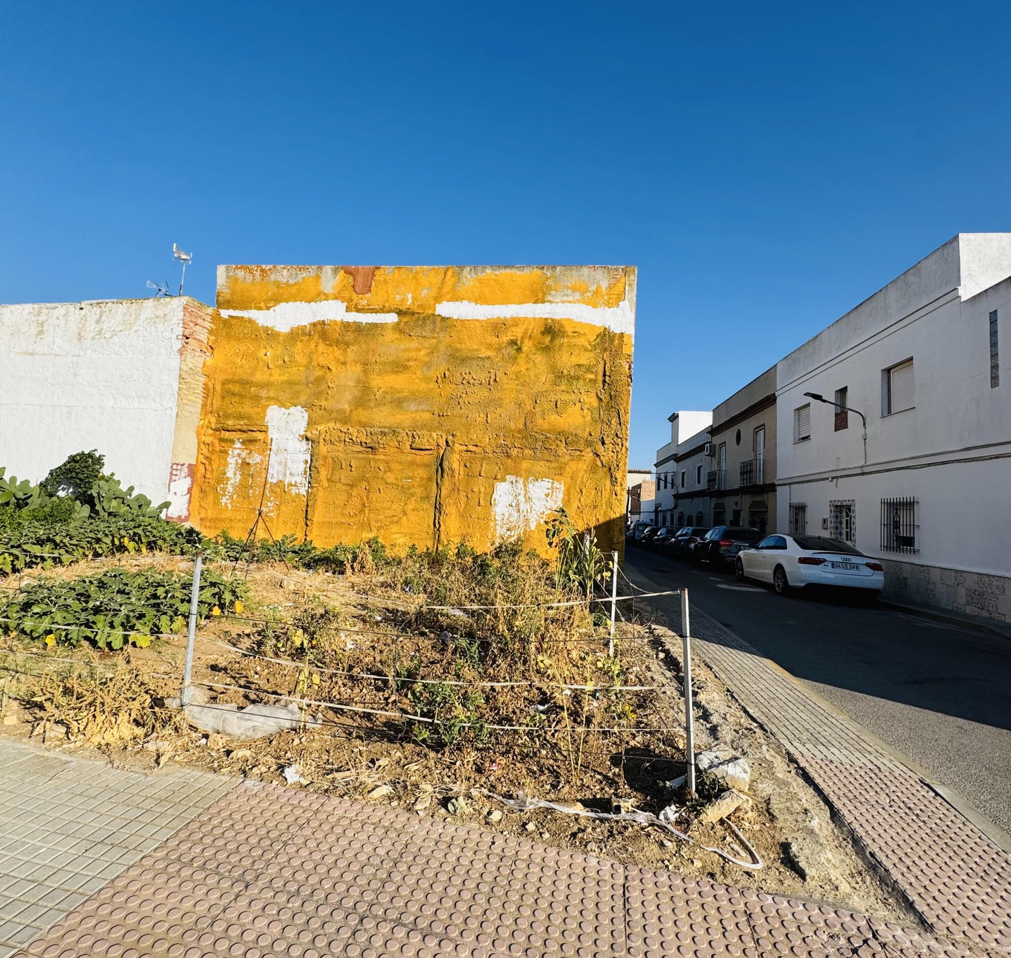 Fincas y solares-Venta-Chiclana de la Frontera-2044380-Foto-3