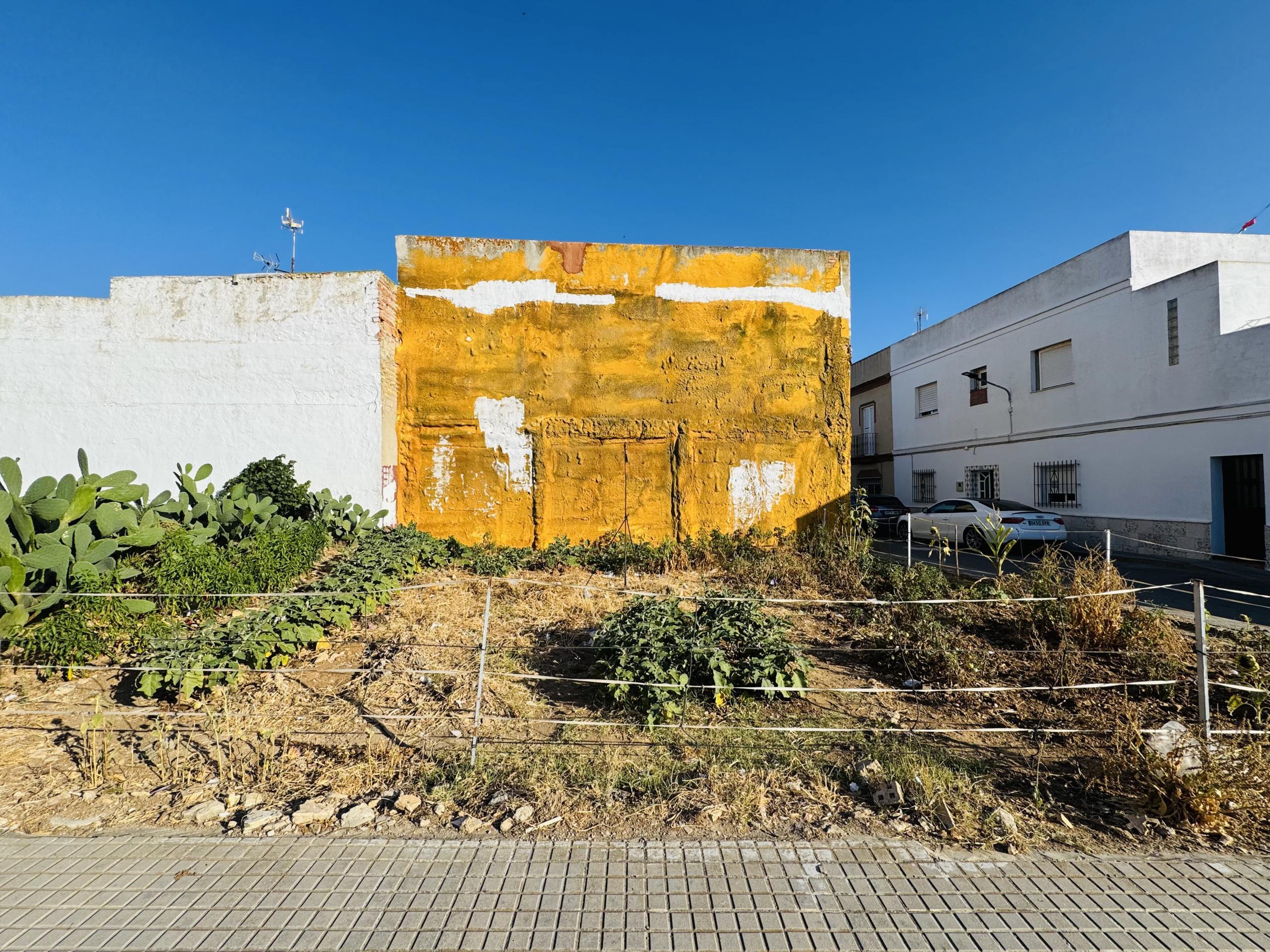 Fincas y solares-Venta-Chiclana de la Frontera-2044380-Foto-5