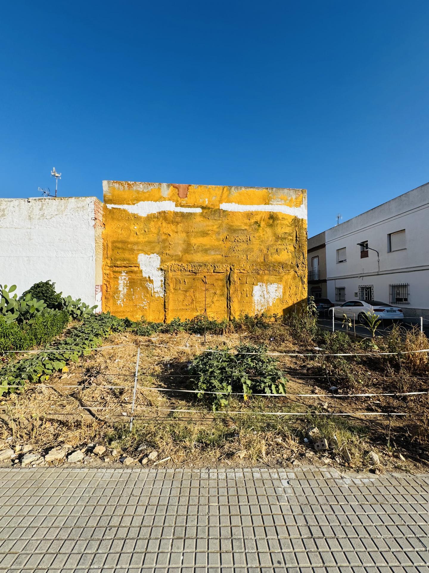 Fincas y solares-Venta-Chiclana de la Frontera-2044380-Foto-7