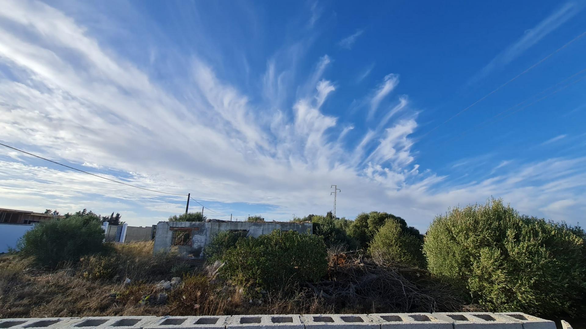 Fincas y solares-Venta-Chiclana de la Frontera-2043896-Foto-13