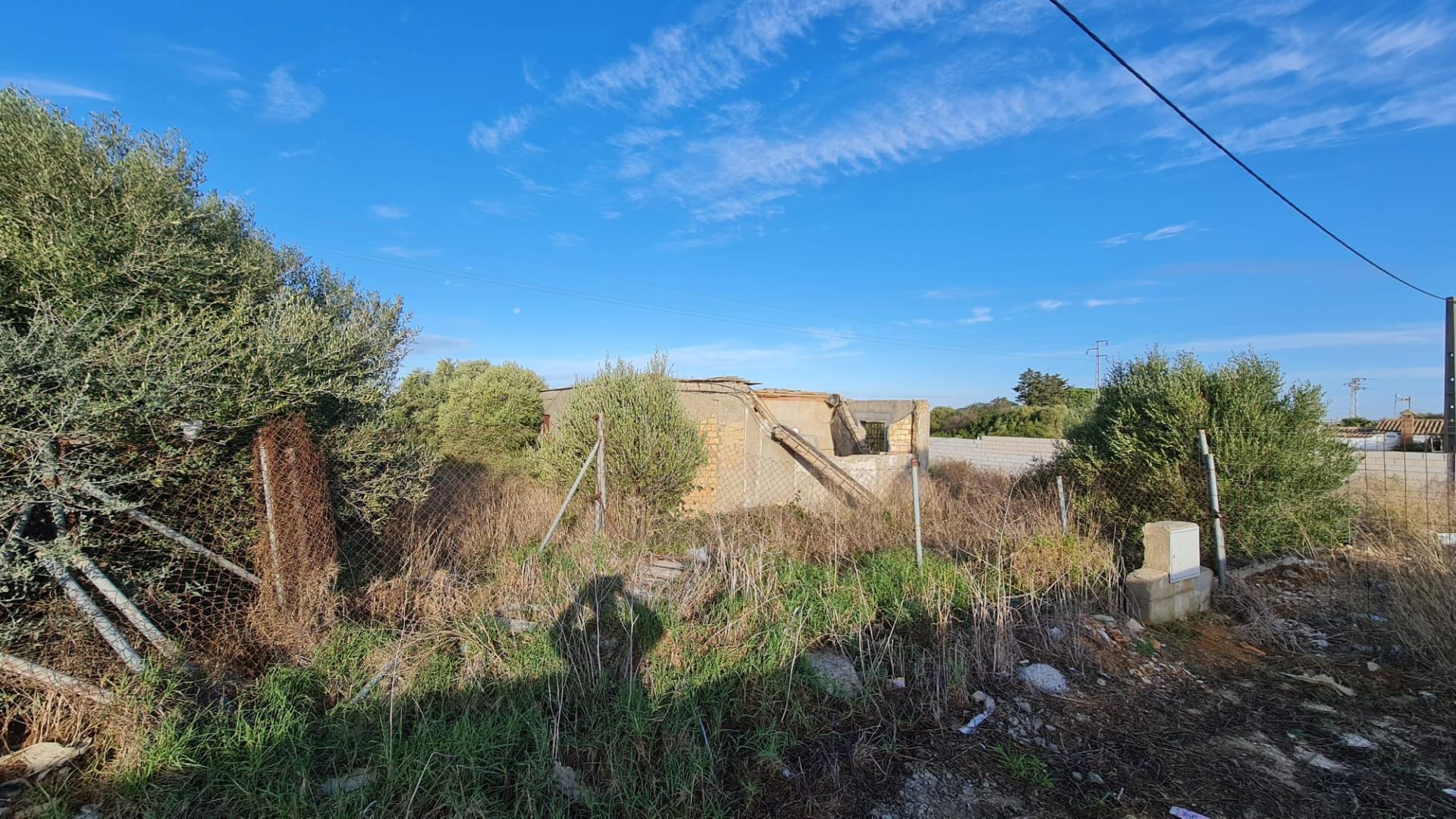 Fincas y solares-Venta-Chiclana de la Frontera-2043896-Foto-12
