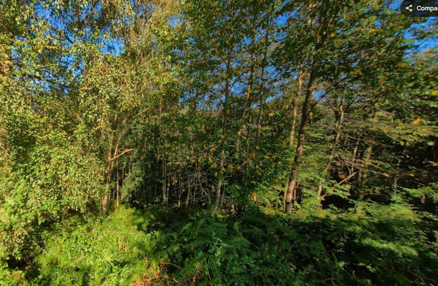 Fincas y solares-Venta-Les Avellanes i Santa Linya-2044320-Foto-8