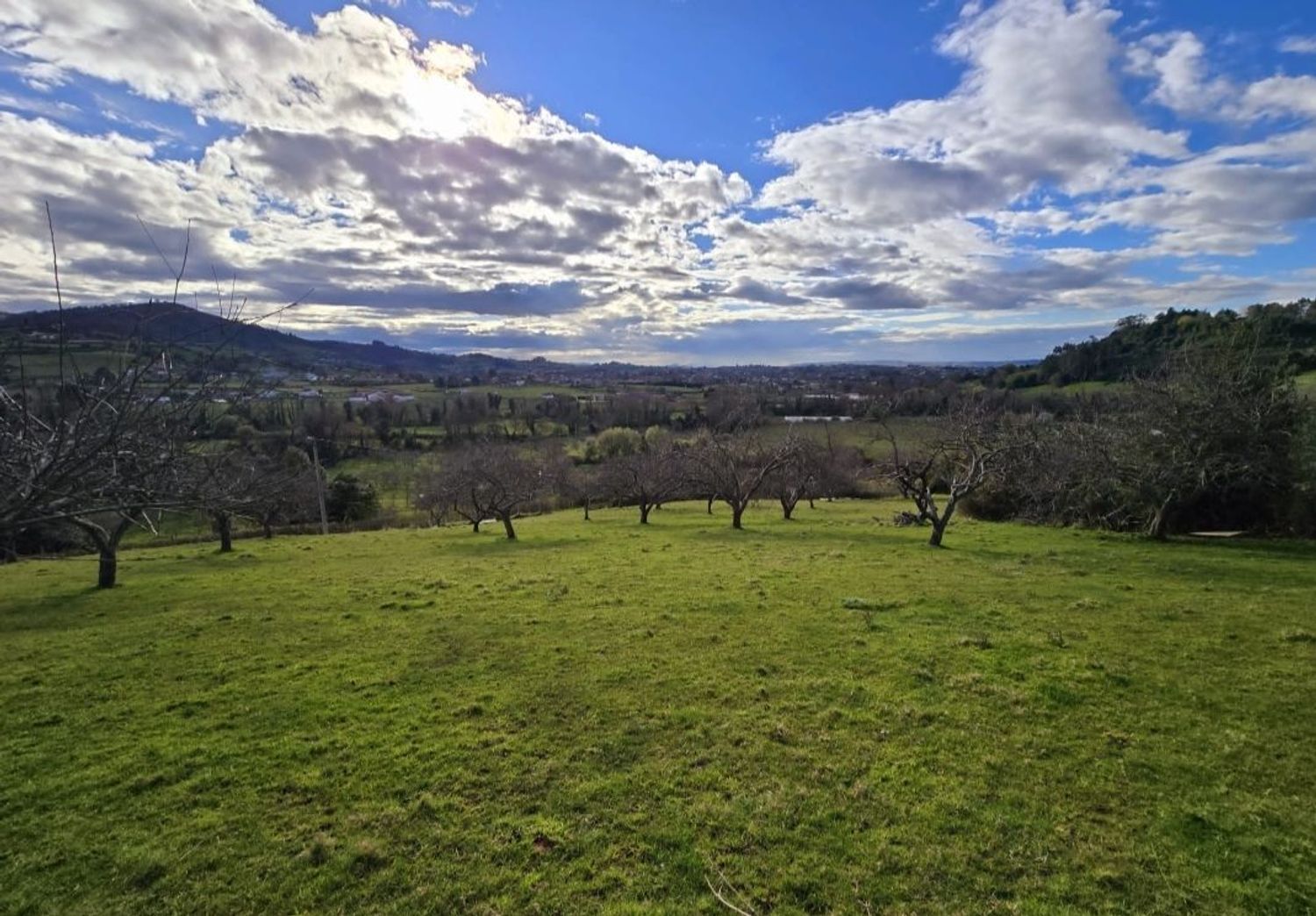 Fincas y solares-Venta-GijÃ³n-1681029-Foto-7