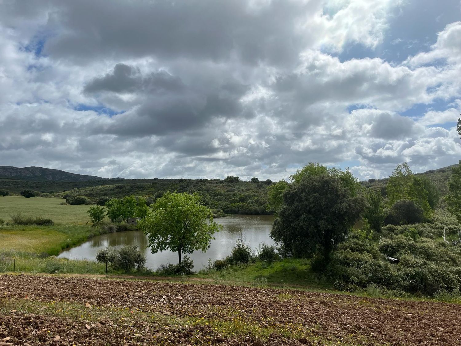 Fincas y solares-Venta-ChillÃ³n-1507555-Foto-4