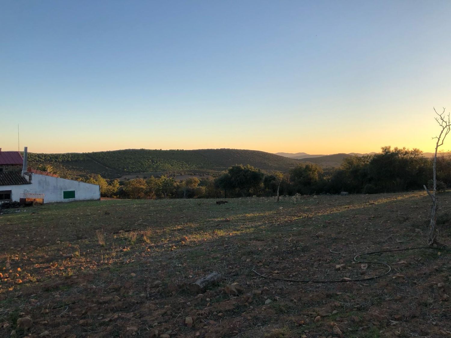 Fincas y solares-Venta-ChillÃ³n-1507555-Foto-6