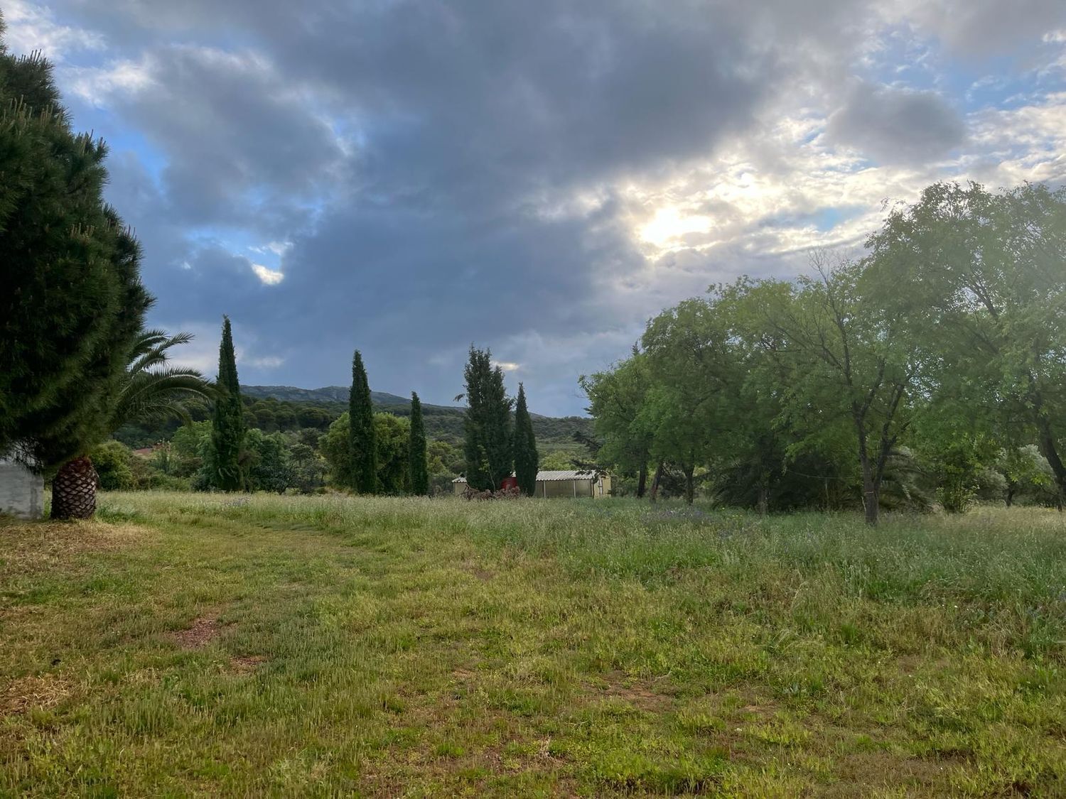 Fincas y solares-Venta-ChillÃ³n-1507555-Foto-14