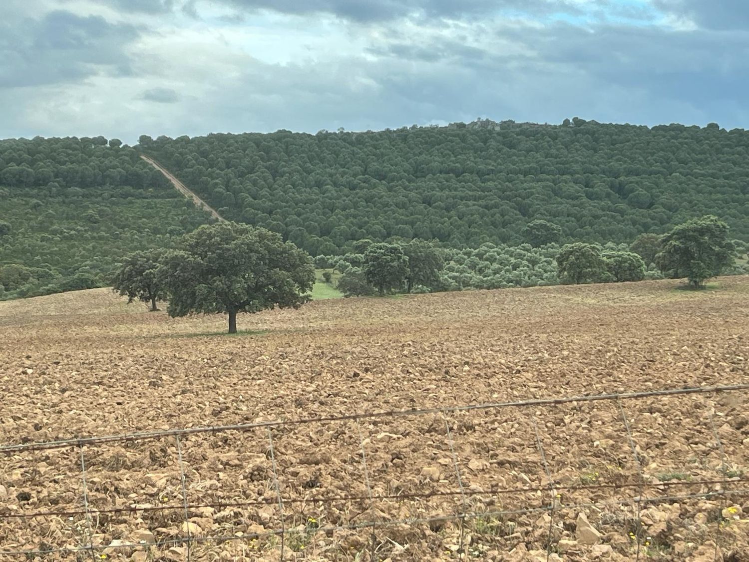 Fincas y solares-Venta-ChillÃ³n-1507555-Foto-15