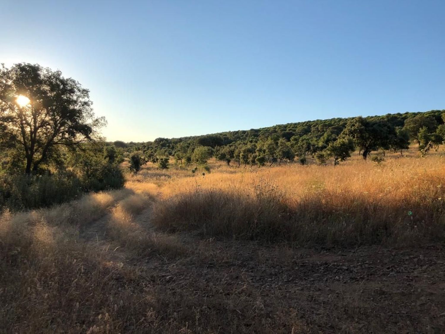 Fincas y solares-Venta-ChillÃ³n-1507555-Foto-23