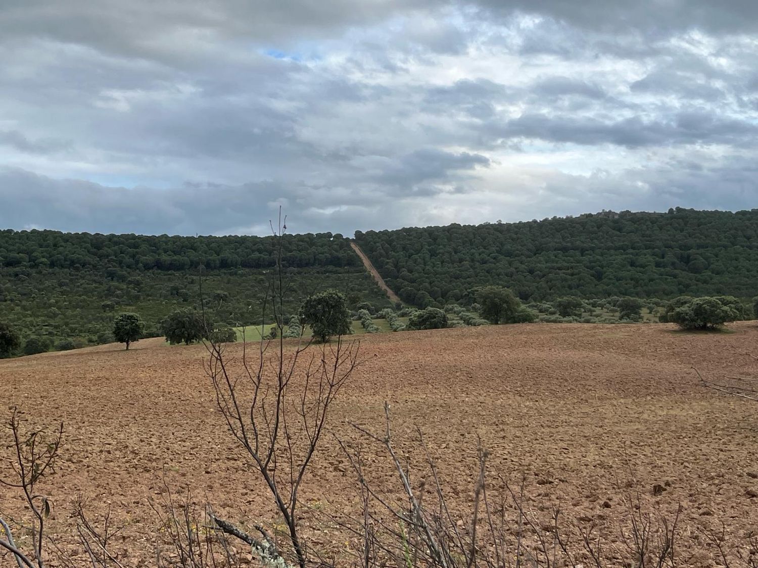 Fincas y solares-Venta-ChillÃ³n-1507555-Foto-16