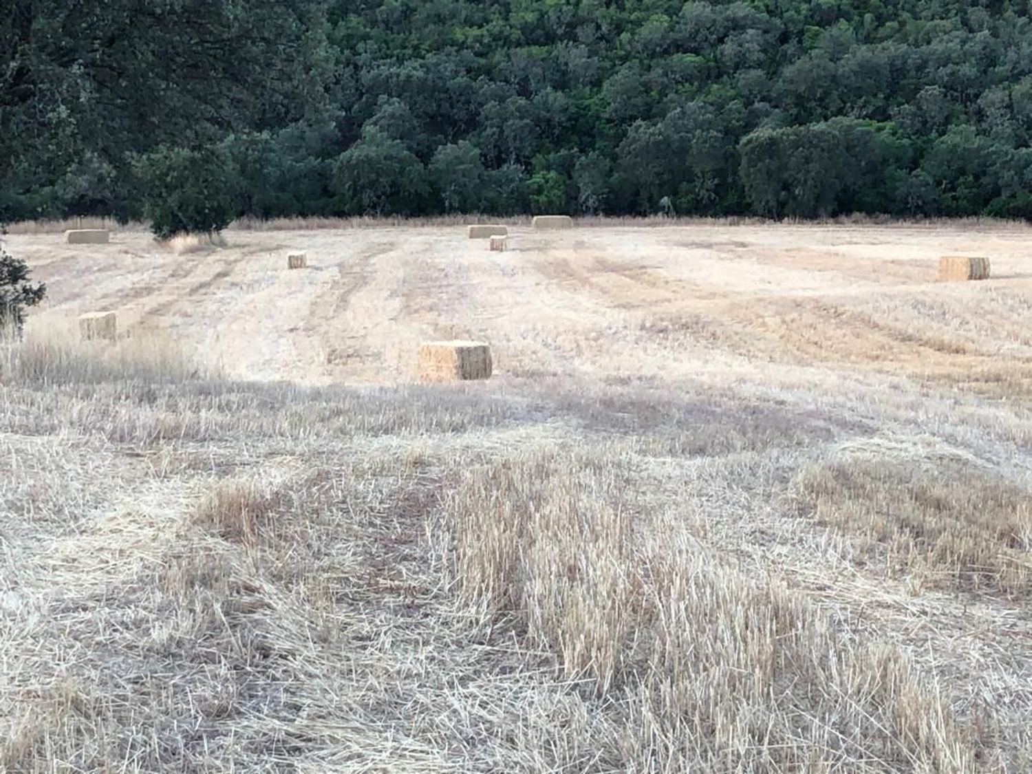 Fincas y solares-Venta-ChillÃ³n-1507555-Foto-20