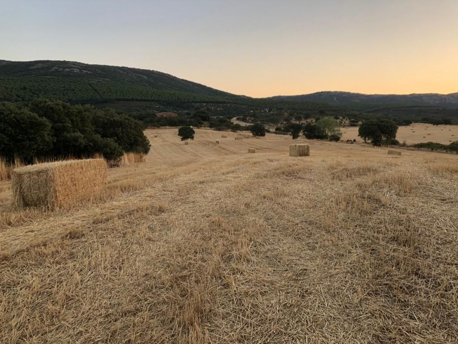 Fincas y solares-Venta-ChillÃ³n-1507555-Foto-28