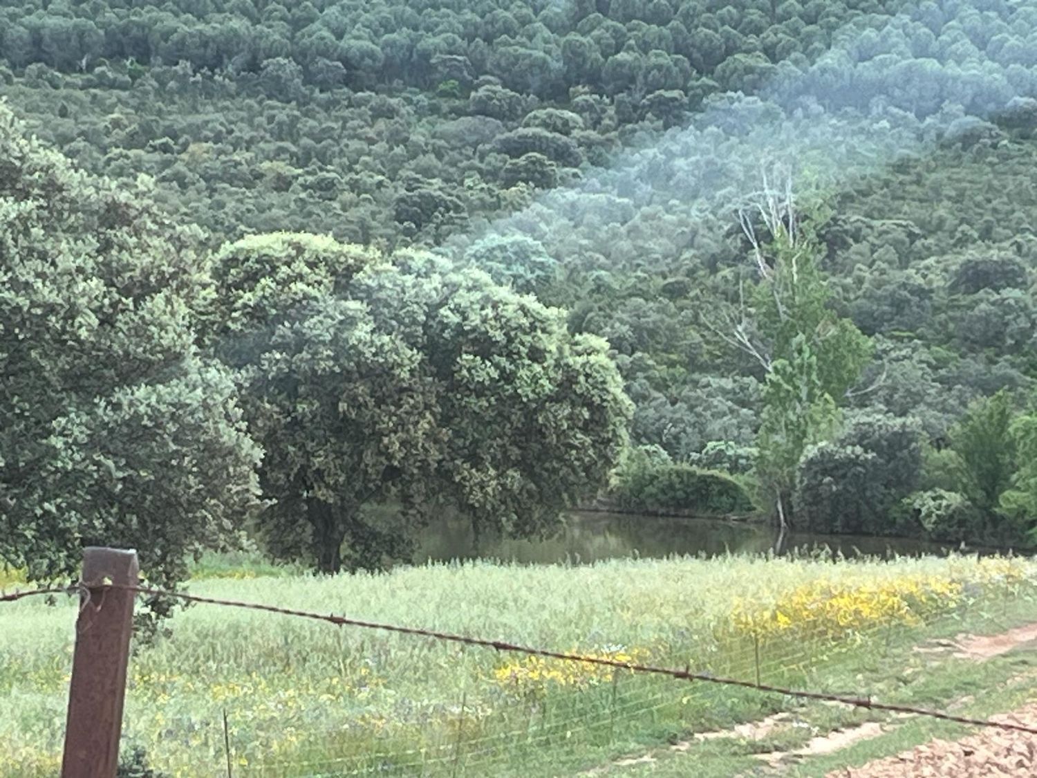 Fincas y solares-Venta-ChillÃ³n-1507555-Foto-36