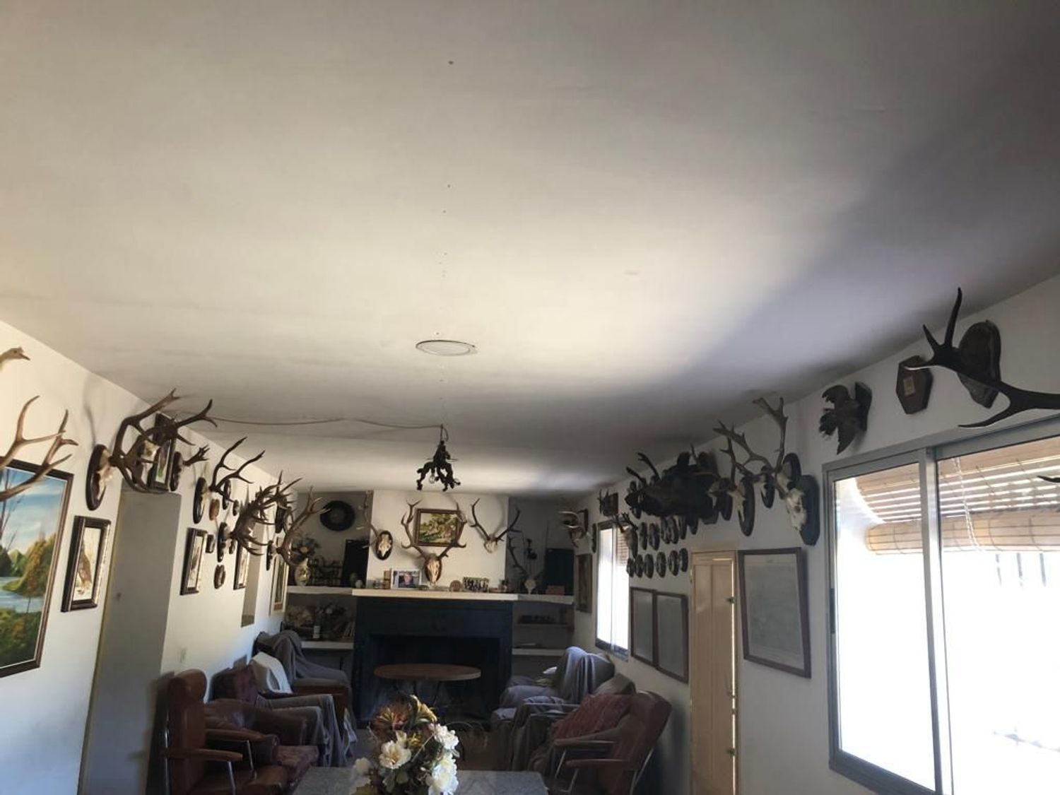 Fincas y solares-Venta-ChillÃ³n-1507555-Foto-42