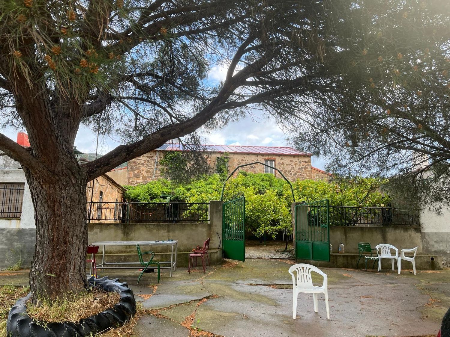 Fincas y solares-Venta-ChillÃ³n-1507555-Foto-40