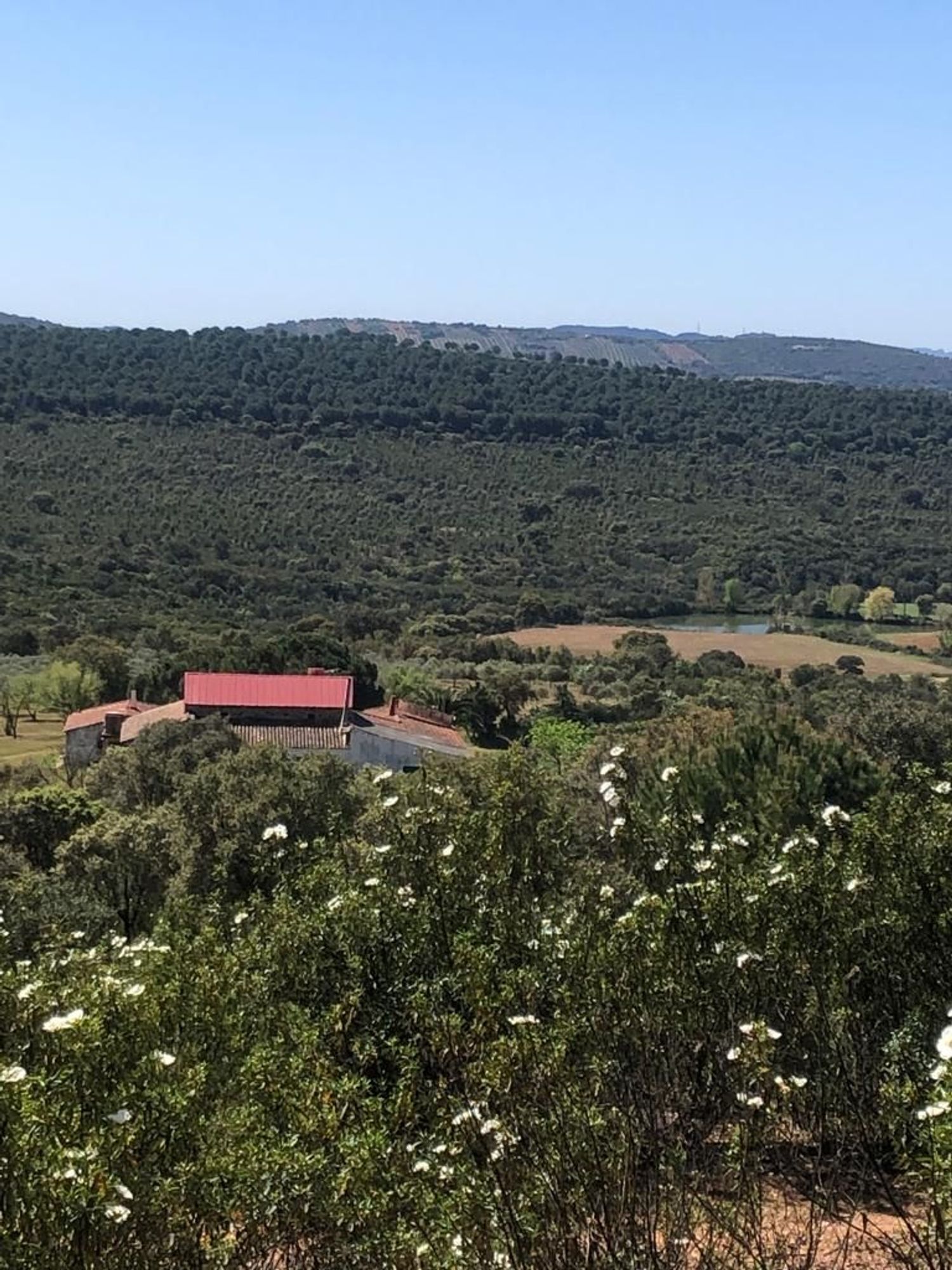 Fincas y solares-Venta-ChillÃ³n-1507555-Foto-47