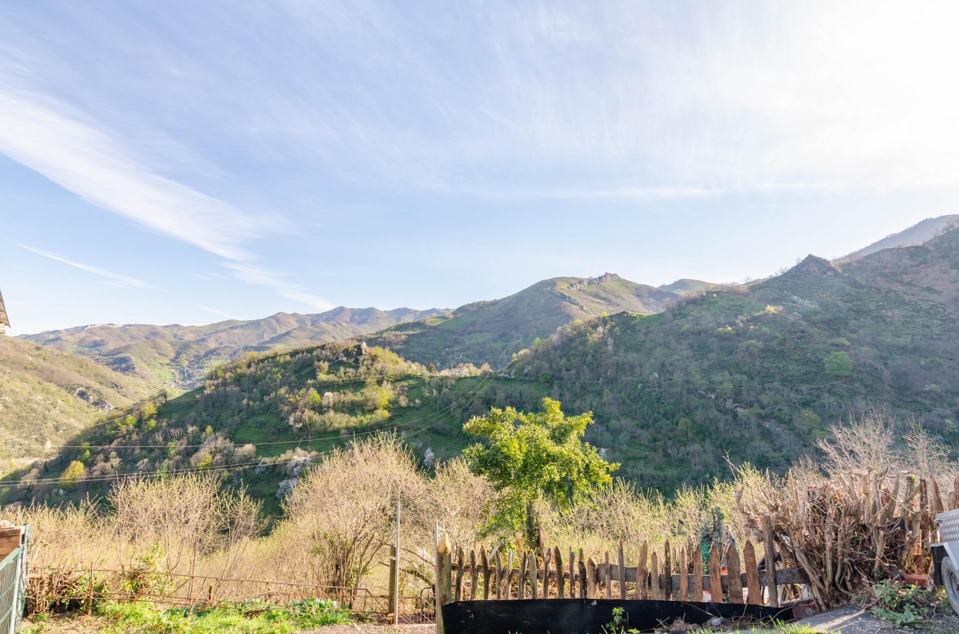 Casas o chalets-Venta-Villena-1712141-Foto-25