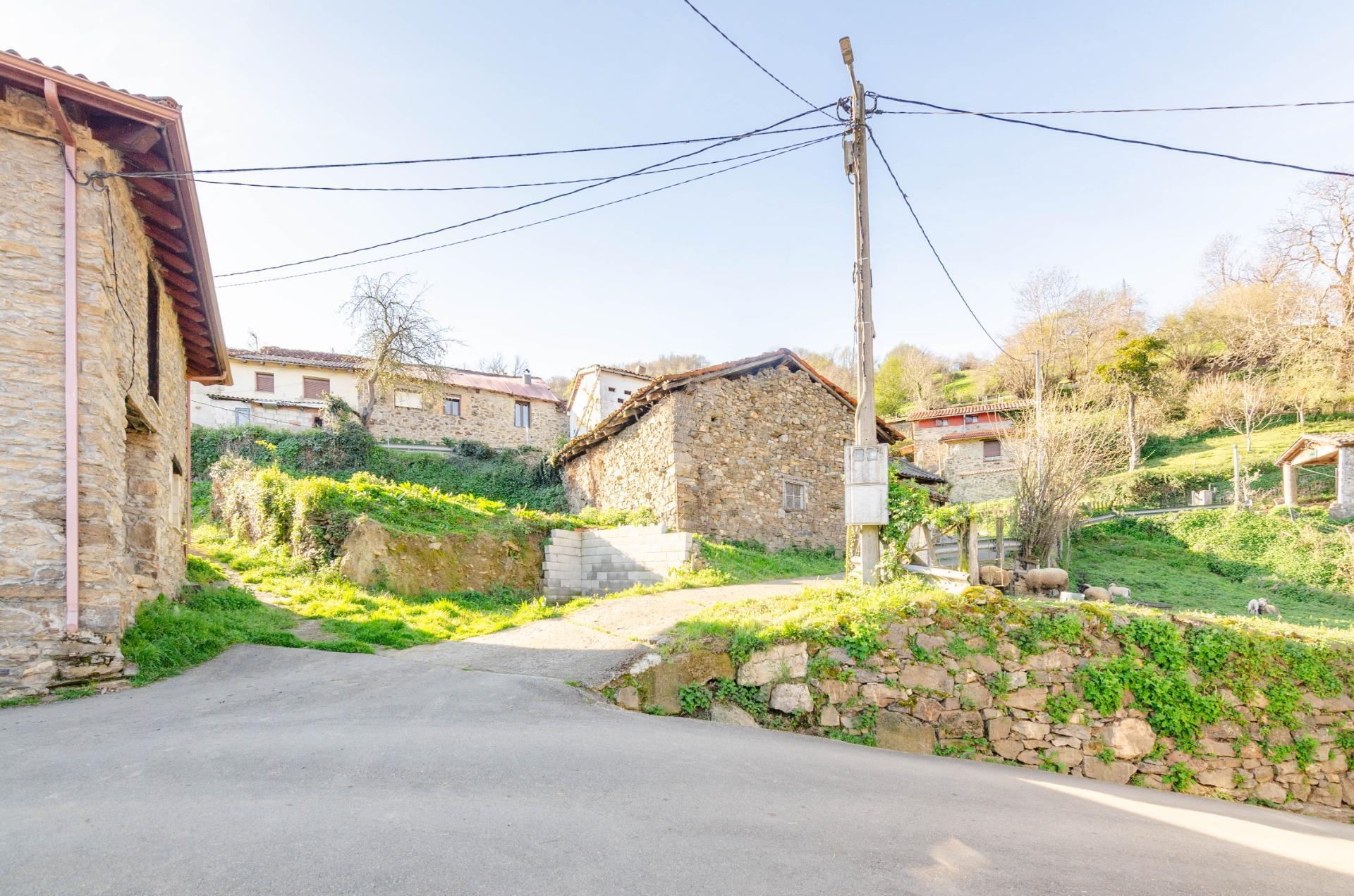 Casas o chalets-Venta-Villena-1712141-Foto-28