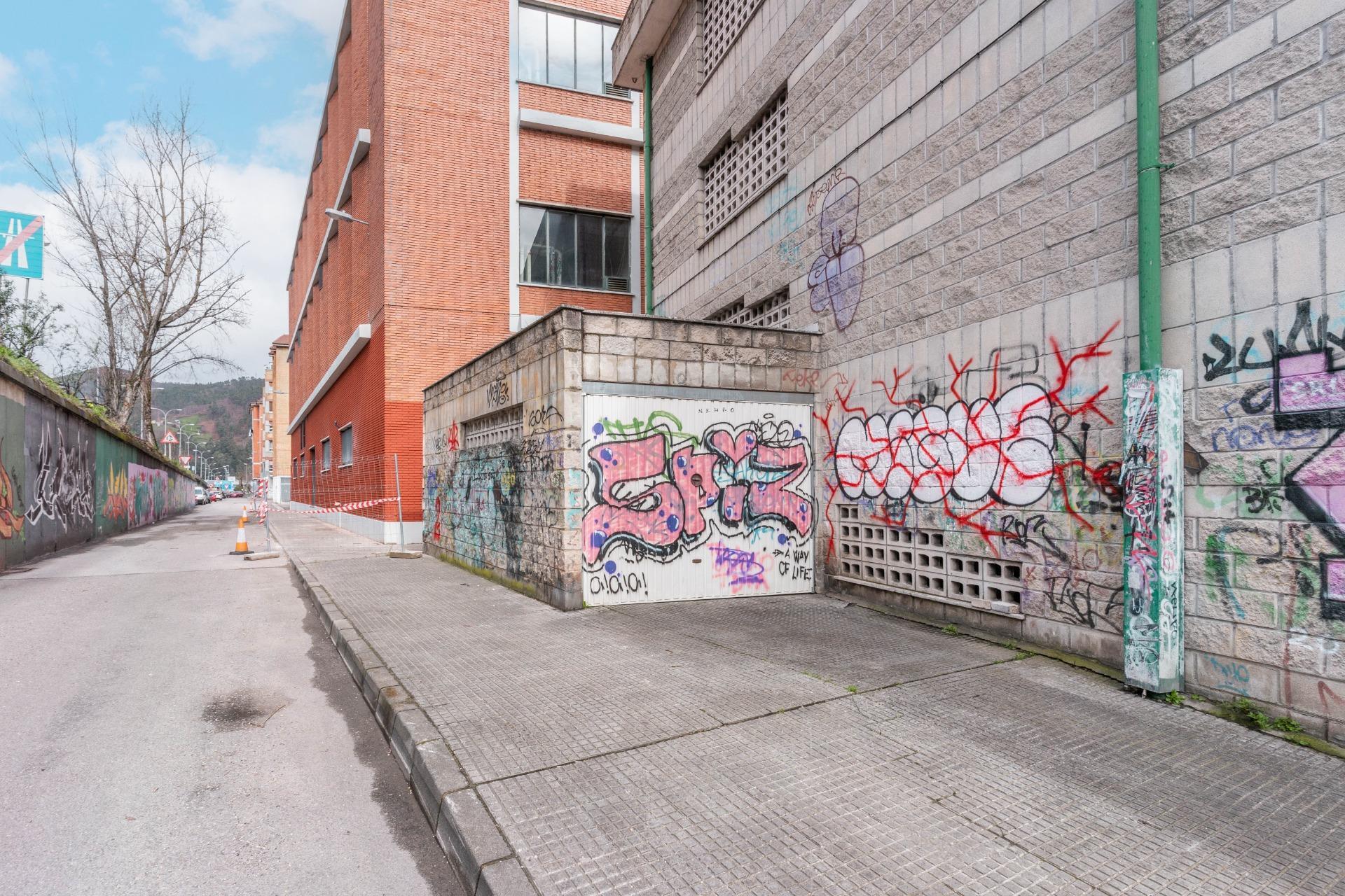 Garajes-Venta-Mieres-1068582-Foto-9