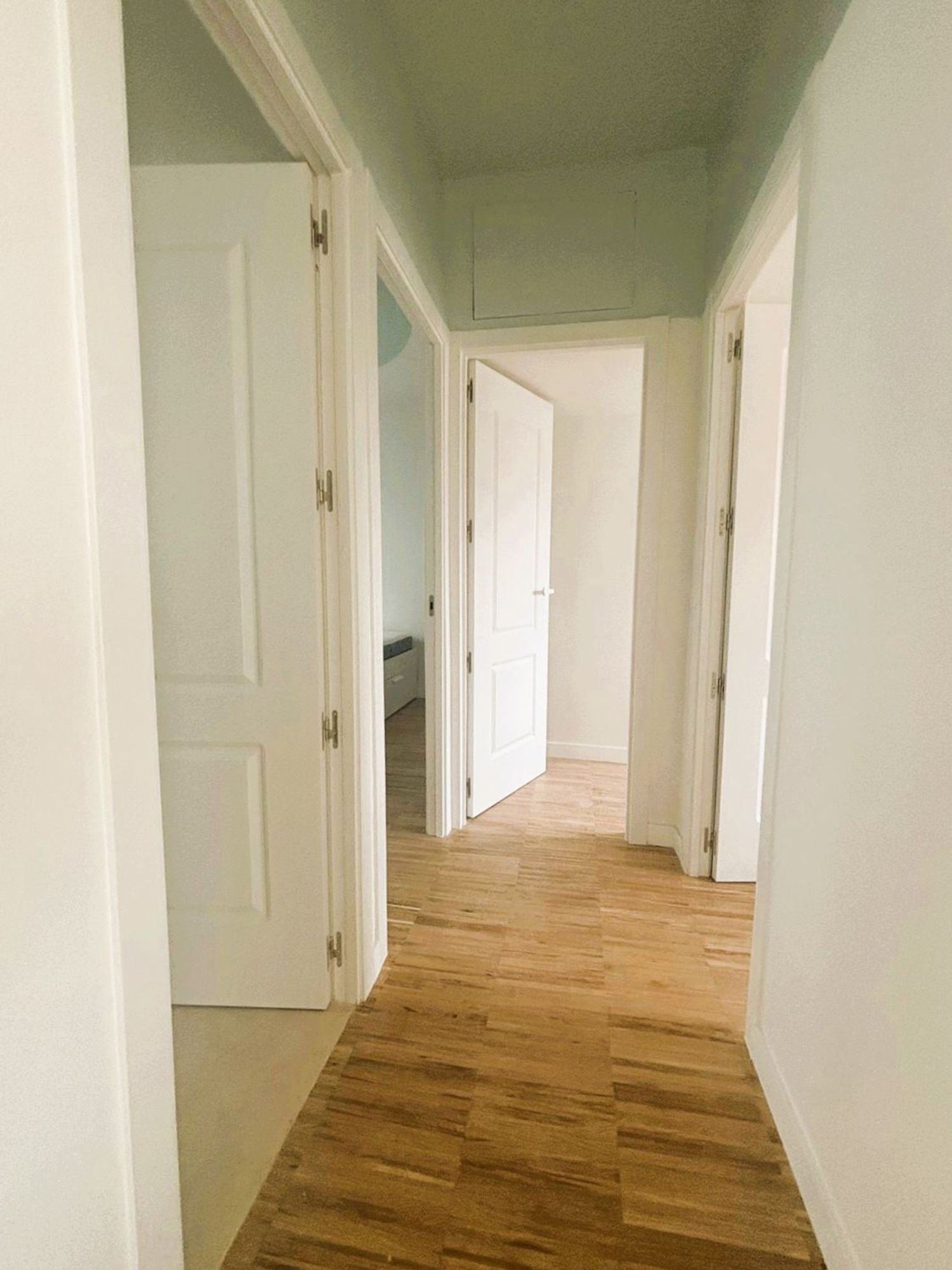 Pisos-Alquiler-Madrid-2063613-Foto-12