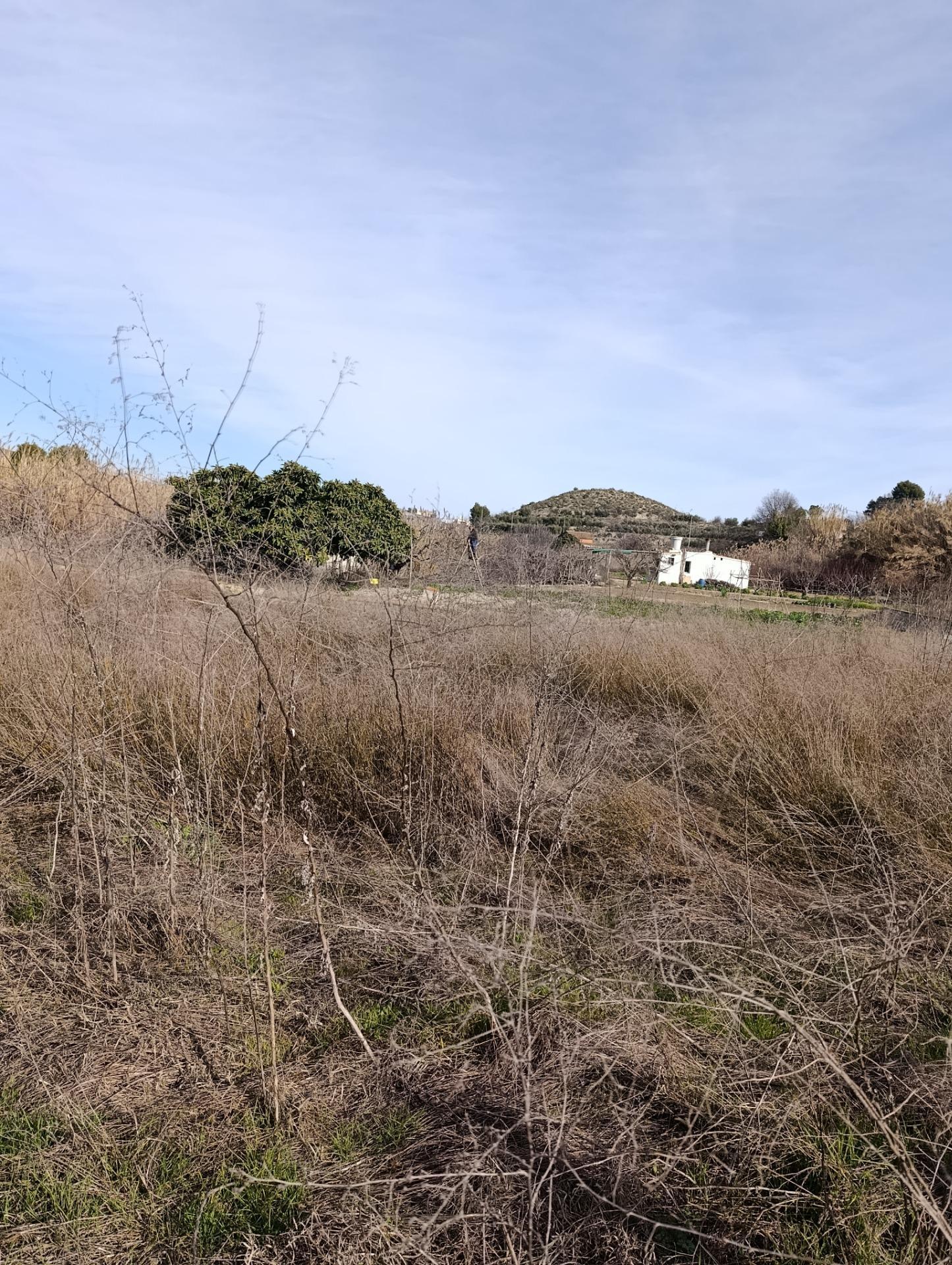 Suelo en venta, Cehegín