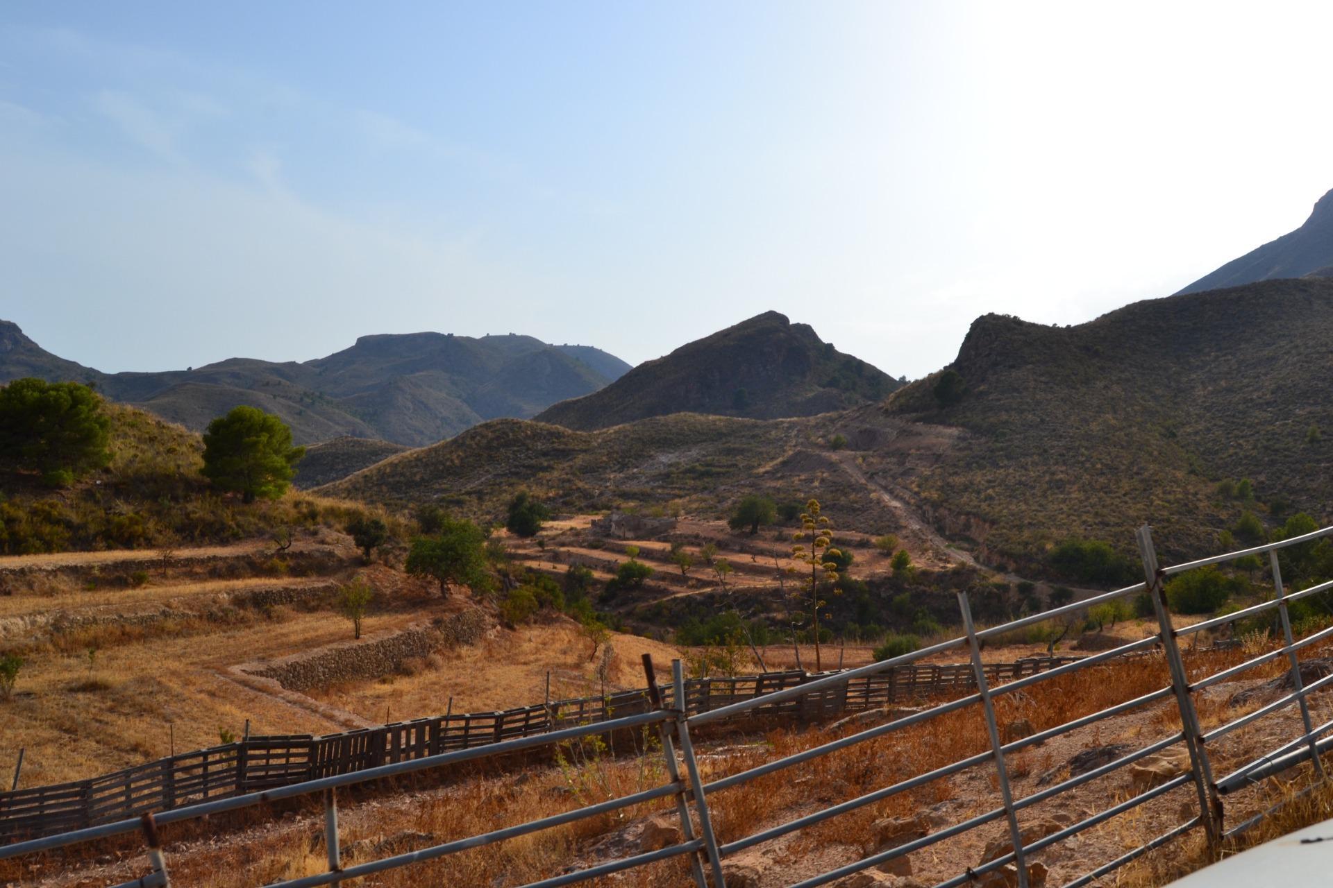 Fincas y solares-Venta-Lorca-1884319-Foto-3