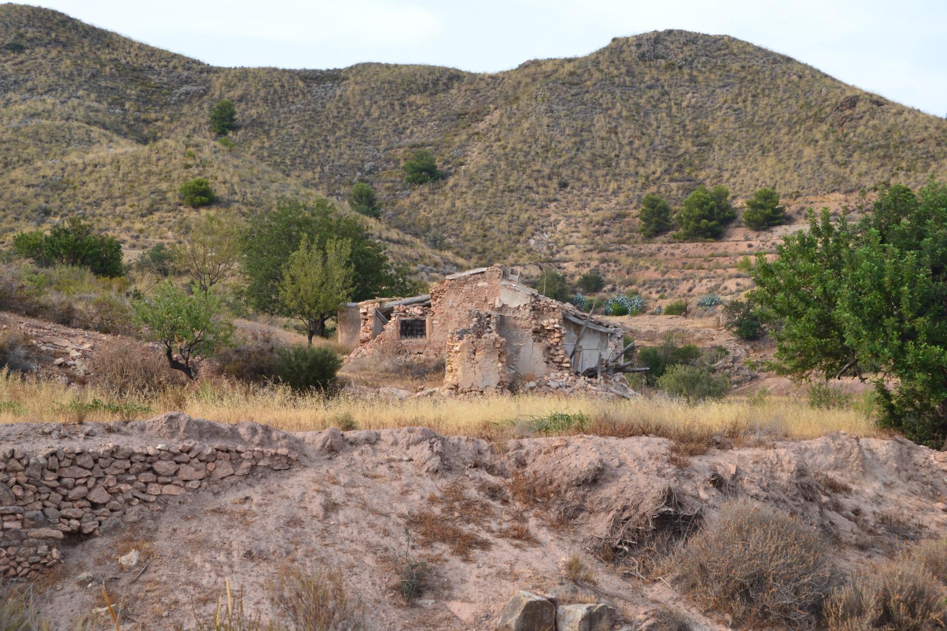 Fincas y solares-Venta-Lorca-1884319-Foto-10