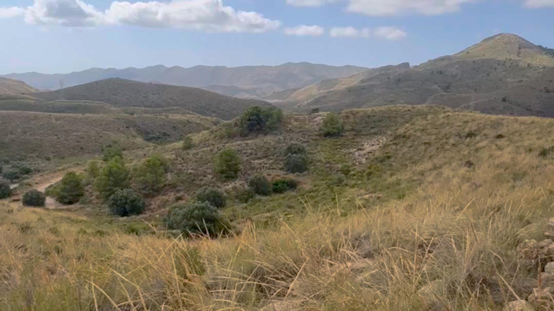 Fincas y solares-Venta-Lorca-1884319-Foto-14