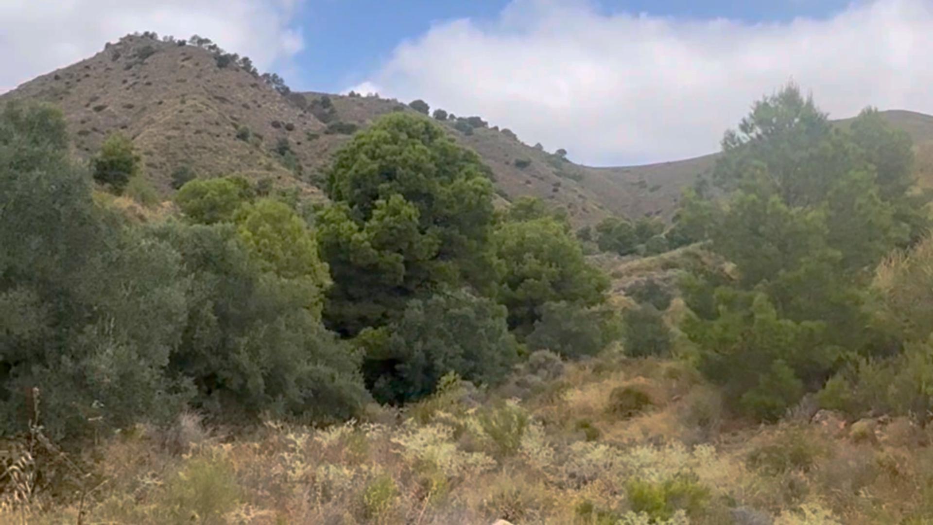 Fincas y solares-Venta-Lorca-1884319-Foto-37