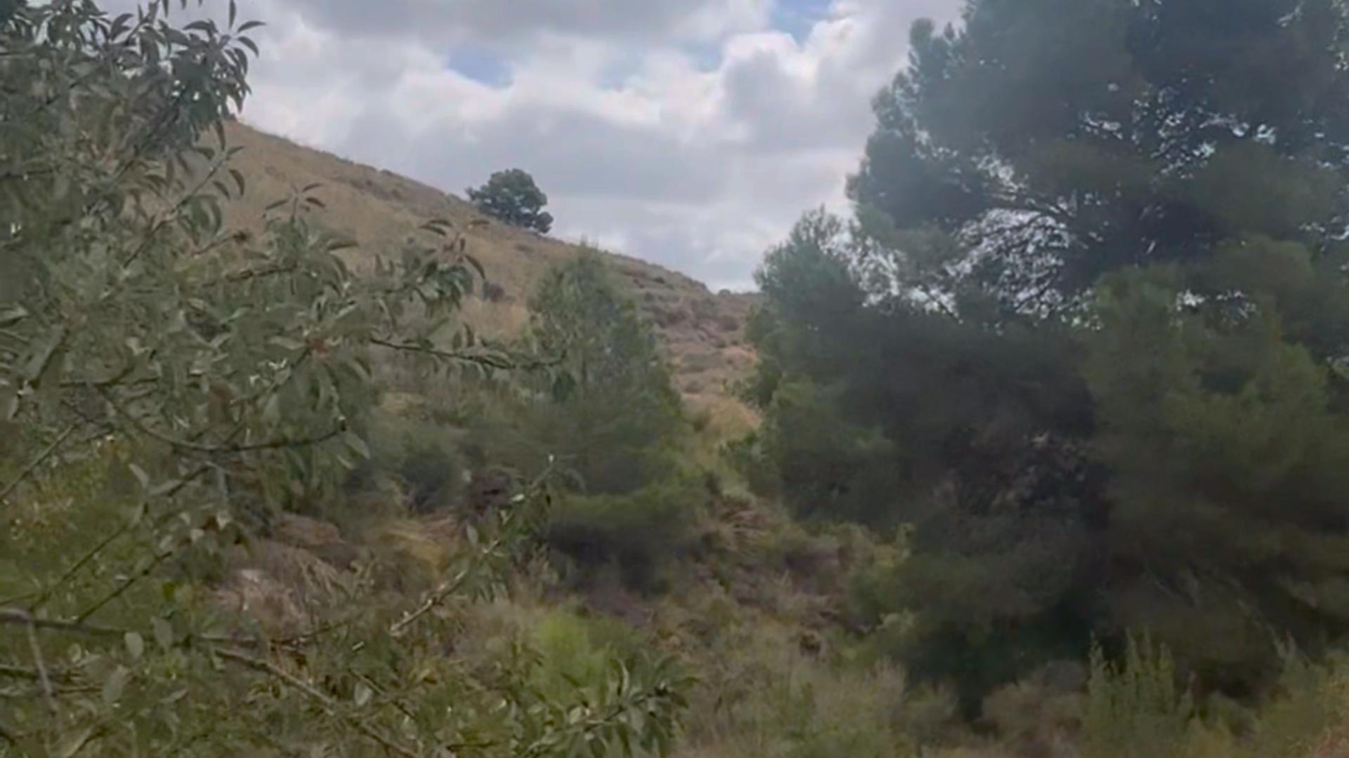 Fincas y solares-Venta-Lorca-1884319-Foto-38