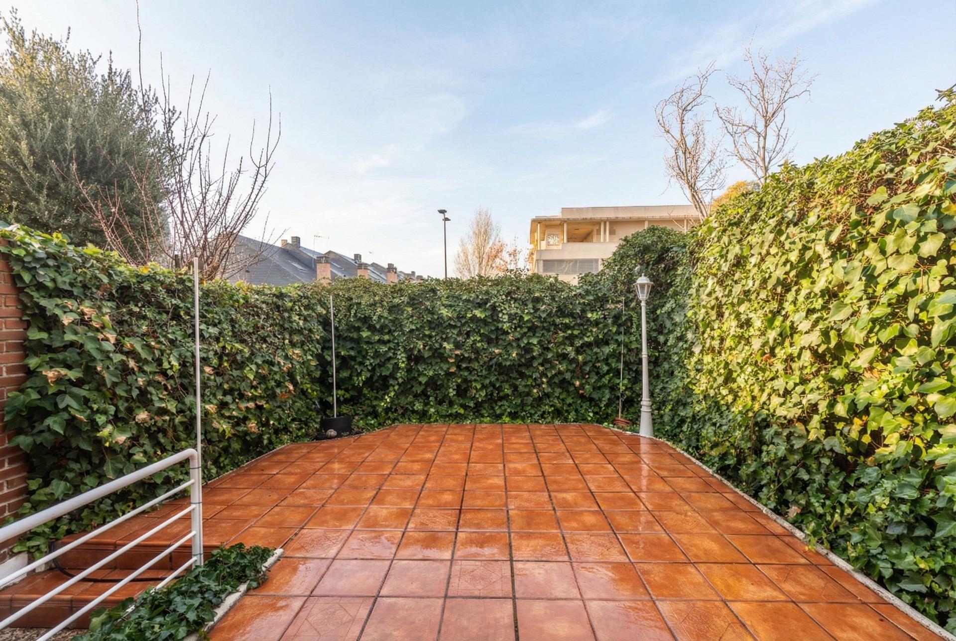 Casas o chalets-Venta-Las Rozas de Madrid-2041095-Foto-22