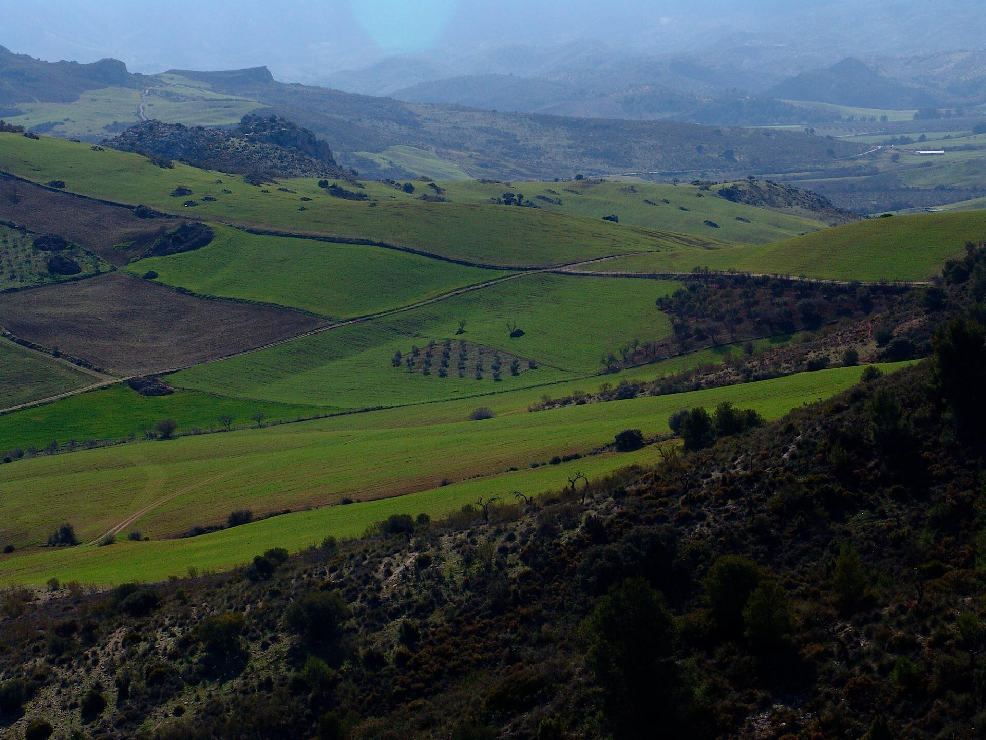 Pisos-Venta-Ardales-1830750-Foto-19