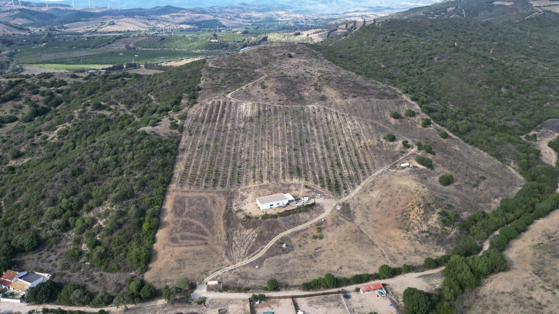 Fincas y solares-Venta-Manilva-1832825-Foto-6