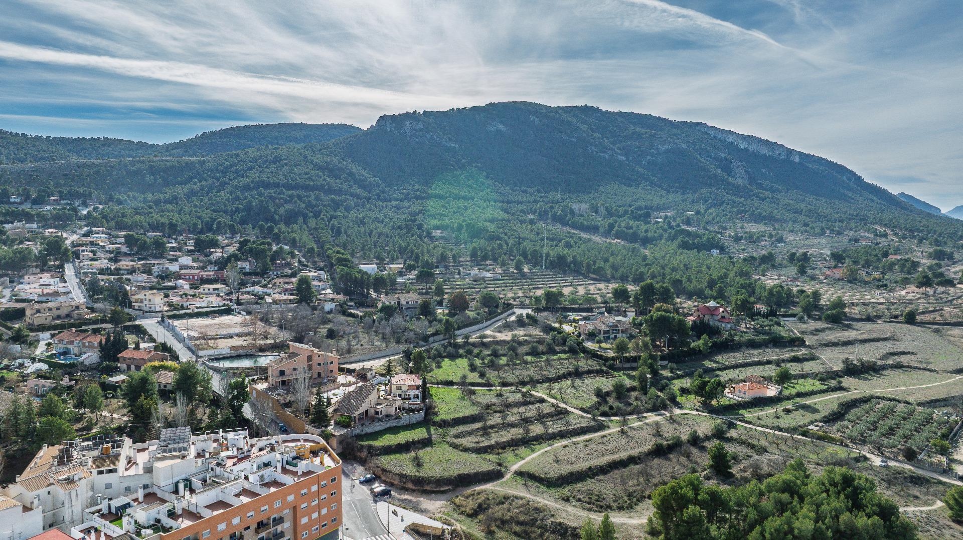 Pisos-Venta-Biar-2036144-Foto-5