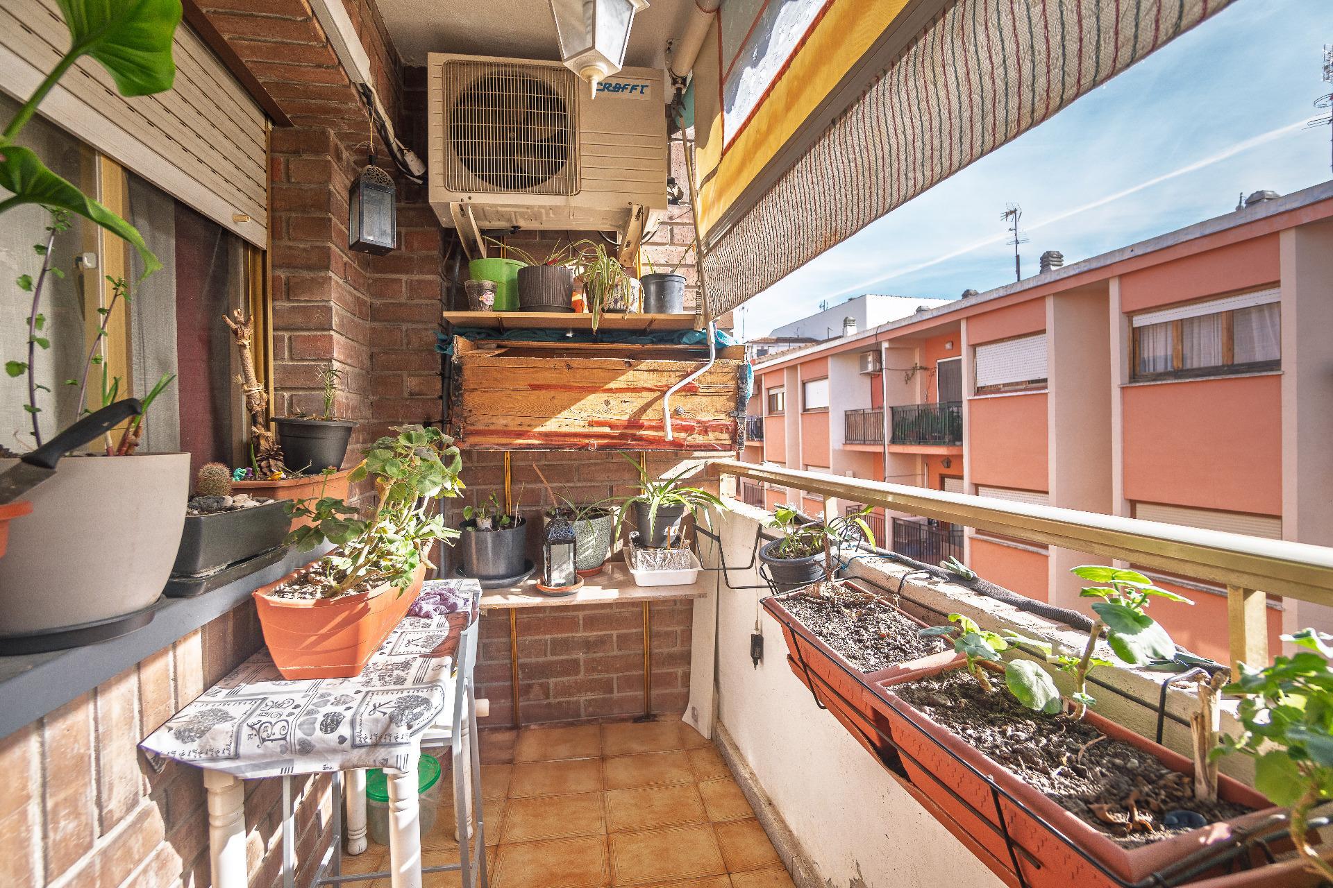 Pisos-Venta-Biar-2036144-Foto-29