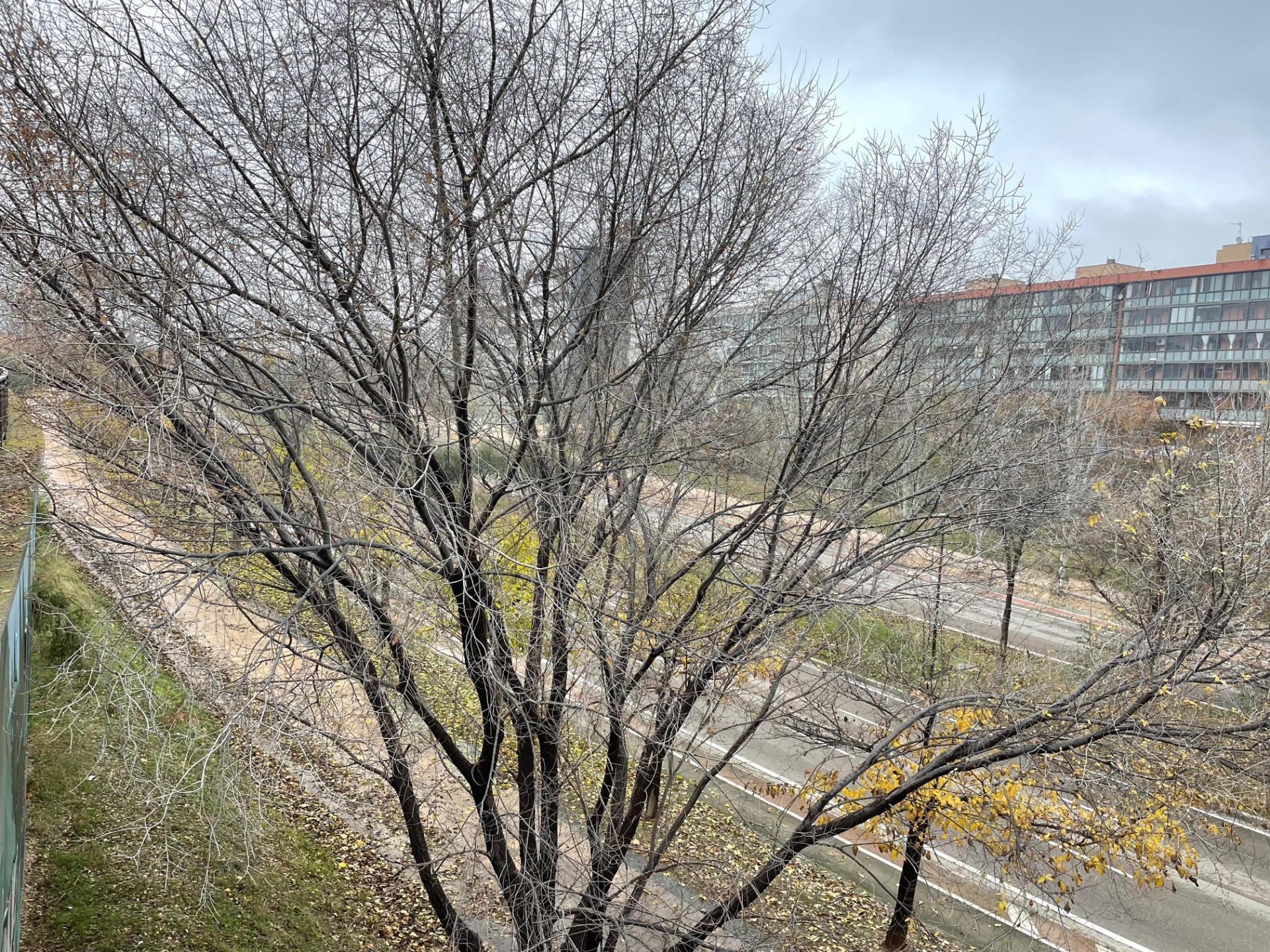 Pisos-Alquiler-Zaragoza-2045386-Foto-43