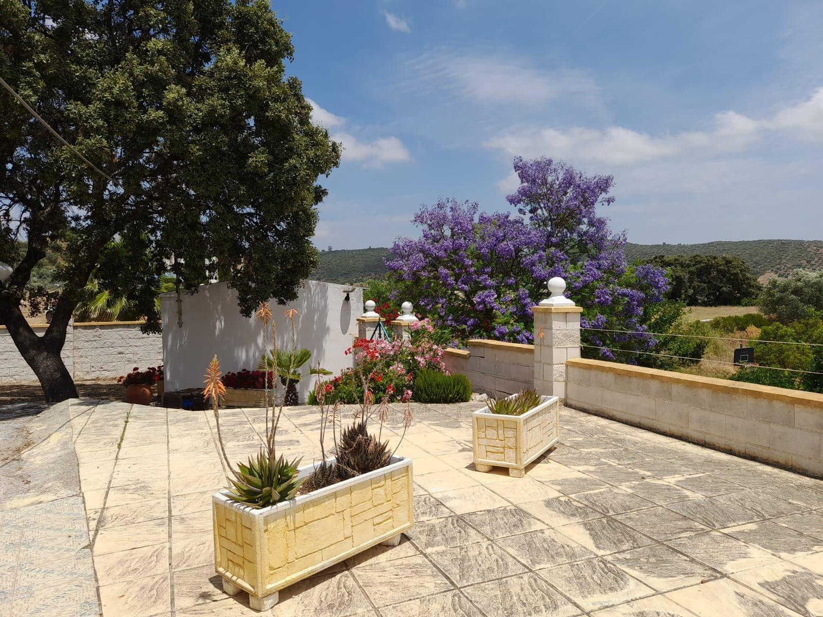 Casas o chalets-Venta-Lora del RÃ­o-2053425-Foto-18