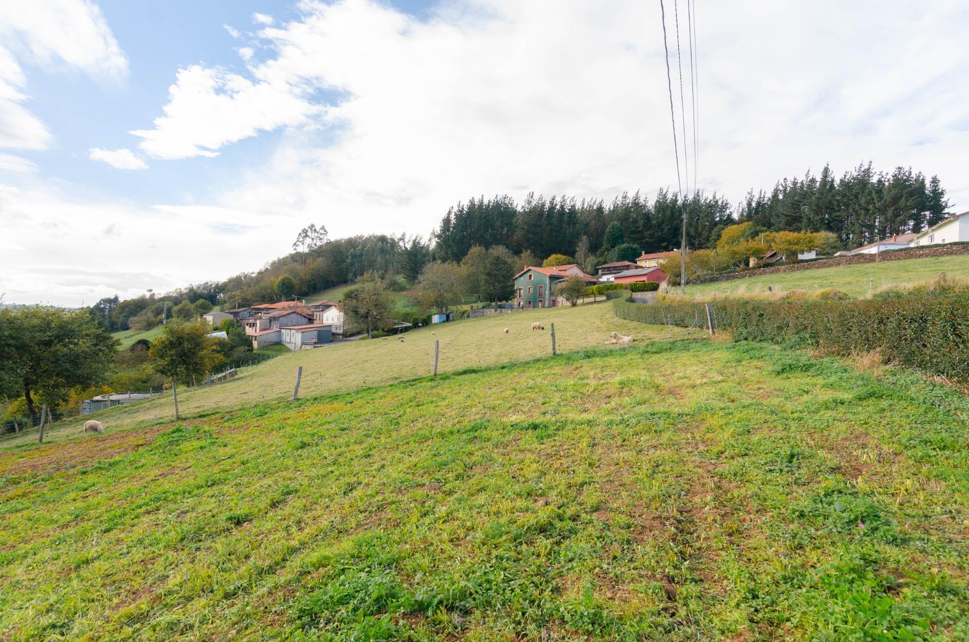 Casas o chalets-Venta-Salas-1974896-Foto-9