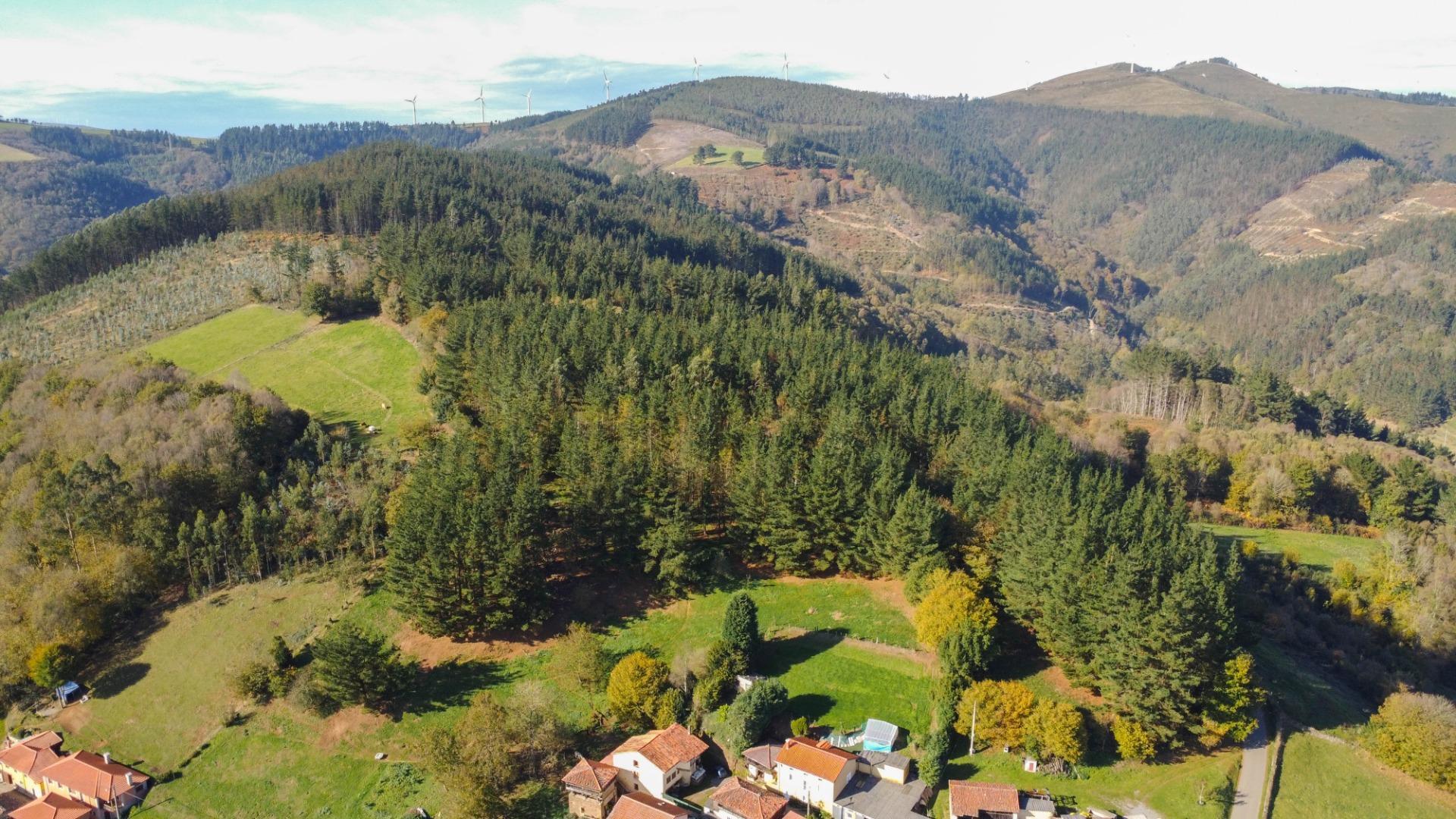 Casas o chalets-Venta-Salas-1974896-Foto-42