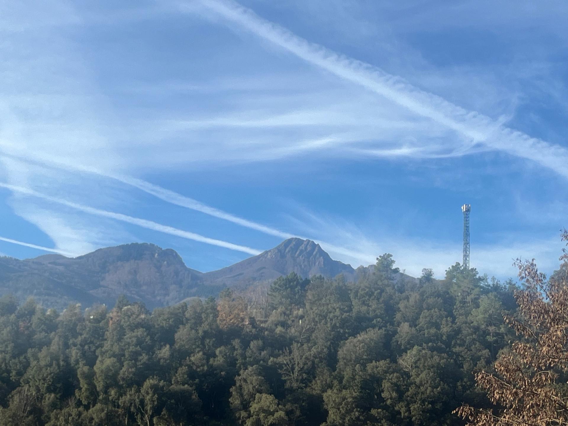 Negocios-Venta-ArbÃºcies-2045431-Foto-16