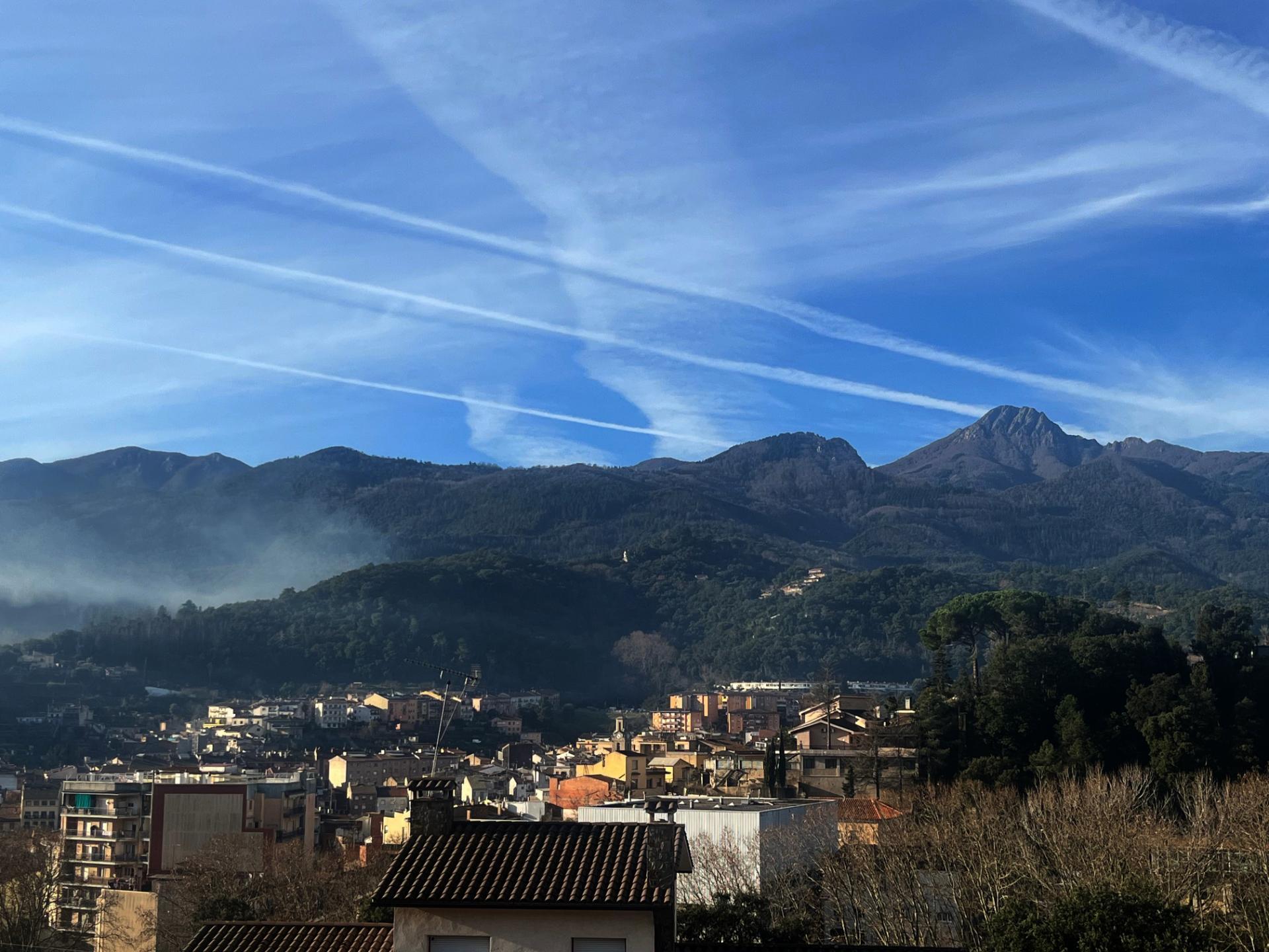 Negocios-Venta-ArbÃºcies-2045431-Foto-19