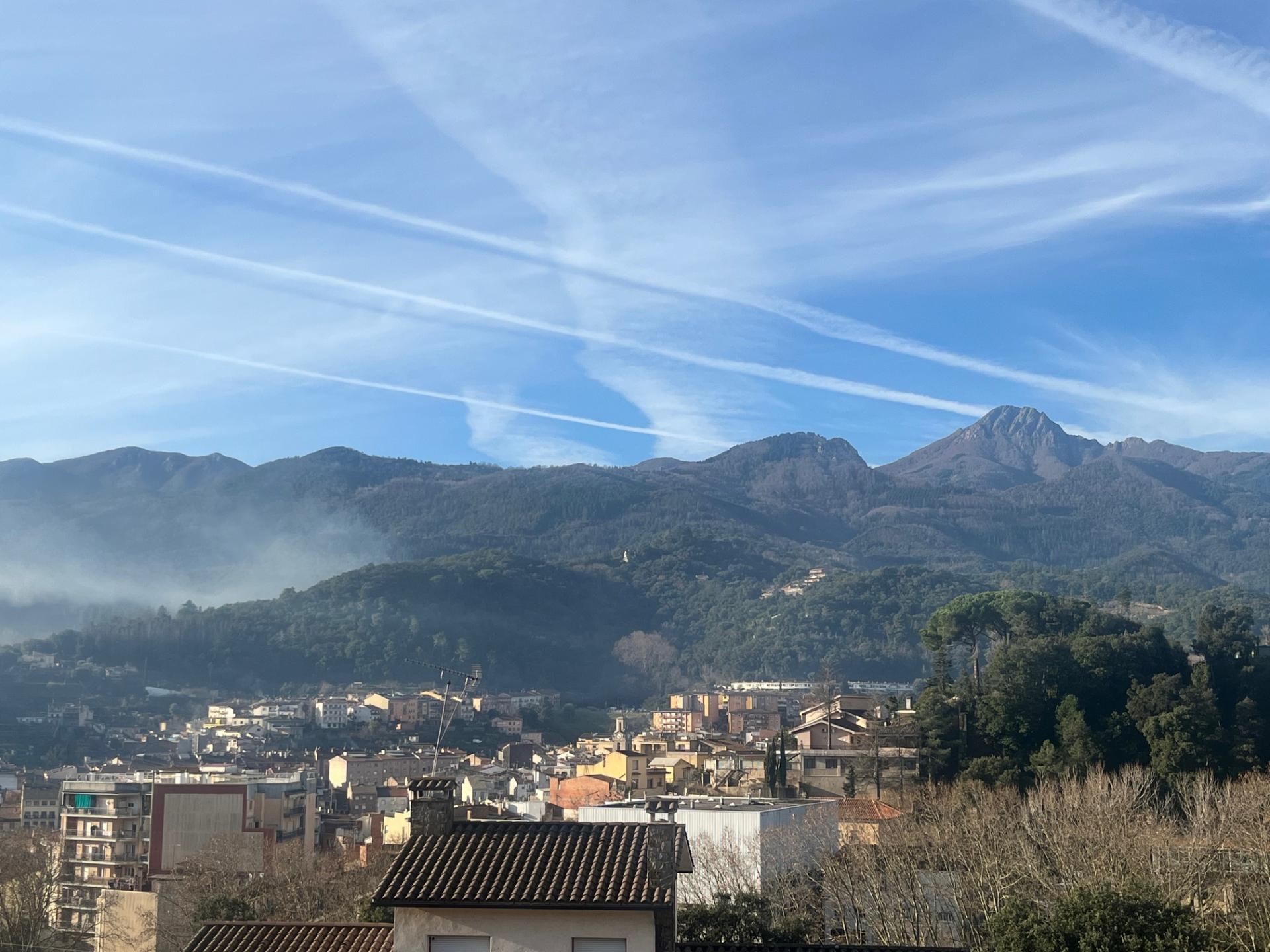 Negocios-Venta-ArbÃºcies-2045431-Foto-18