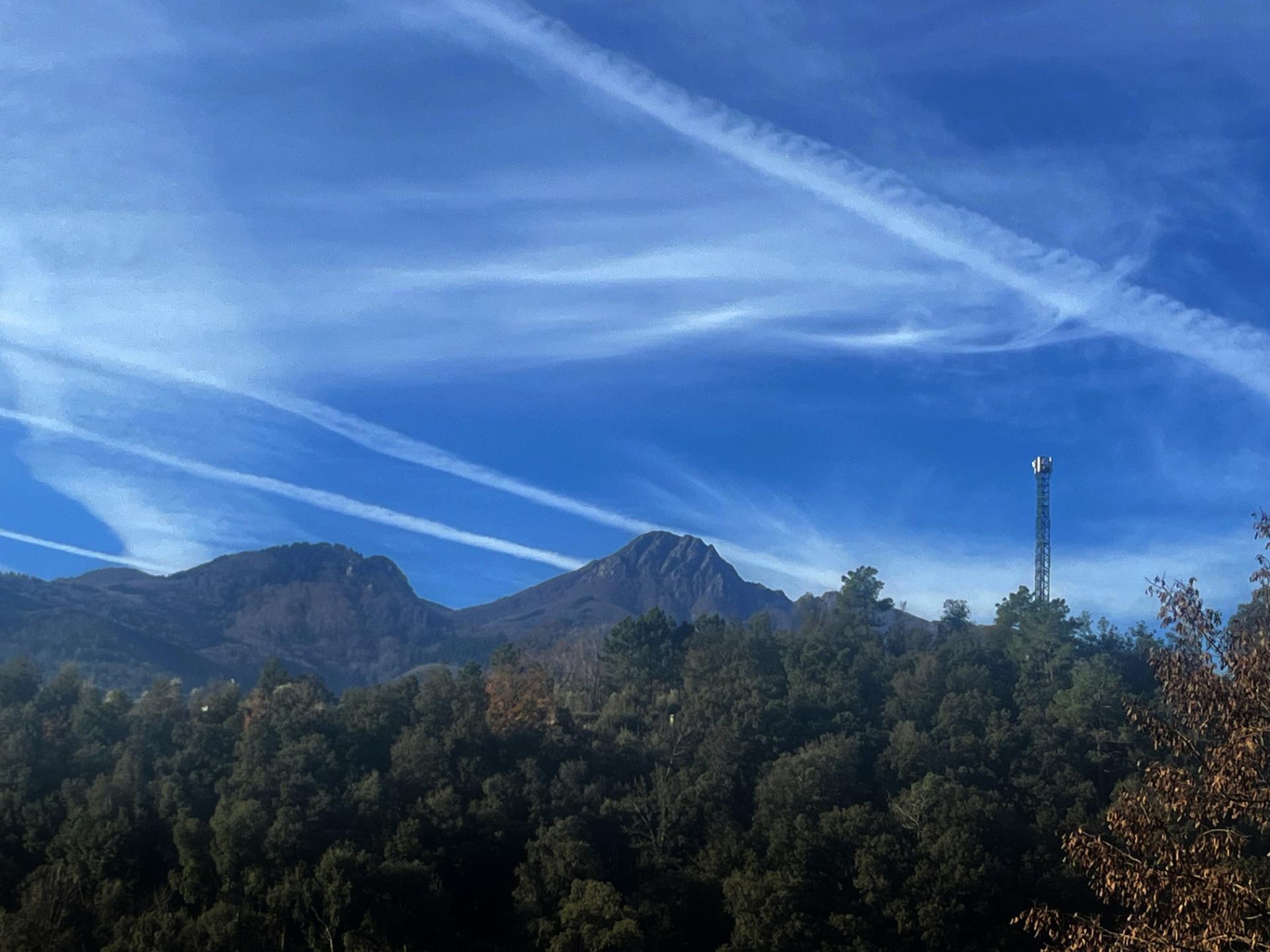 Negocios-Venta-ArbÃºcies-2045431-Foto-17